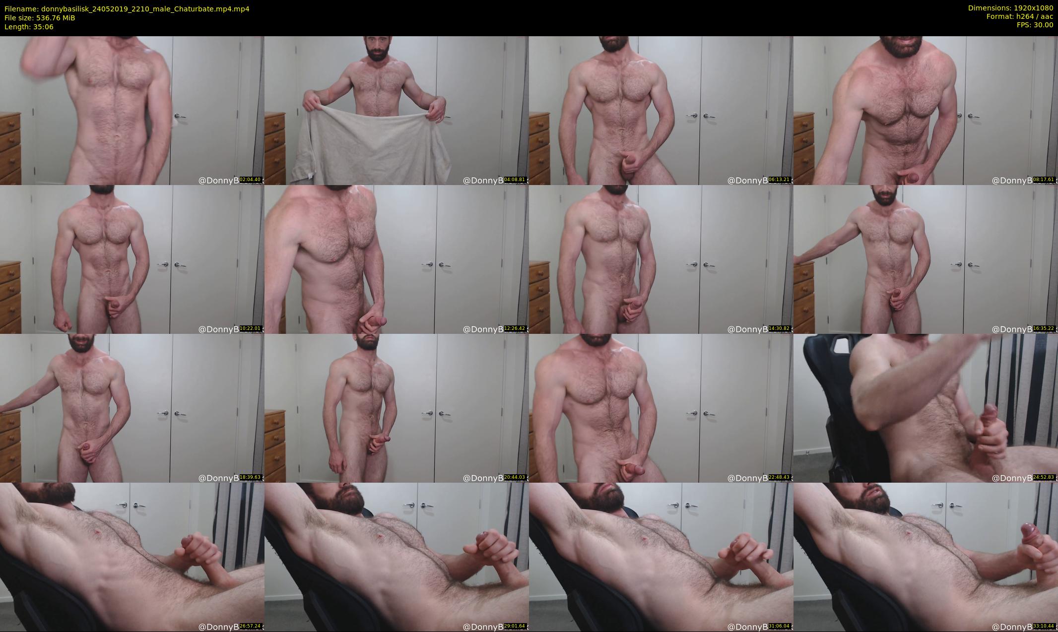 donnybasilisk — 36 minute Chaturbate male cam show recording, 1080p, May 24, 2019