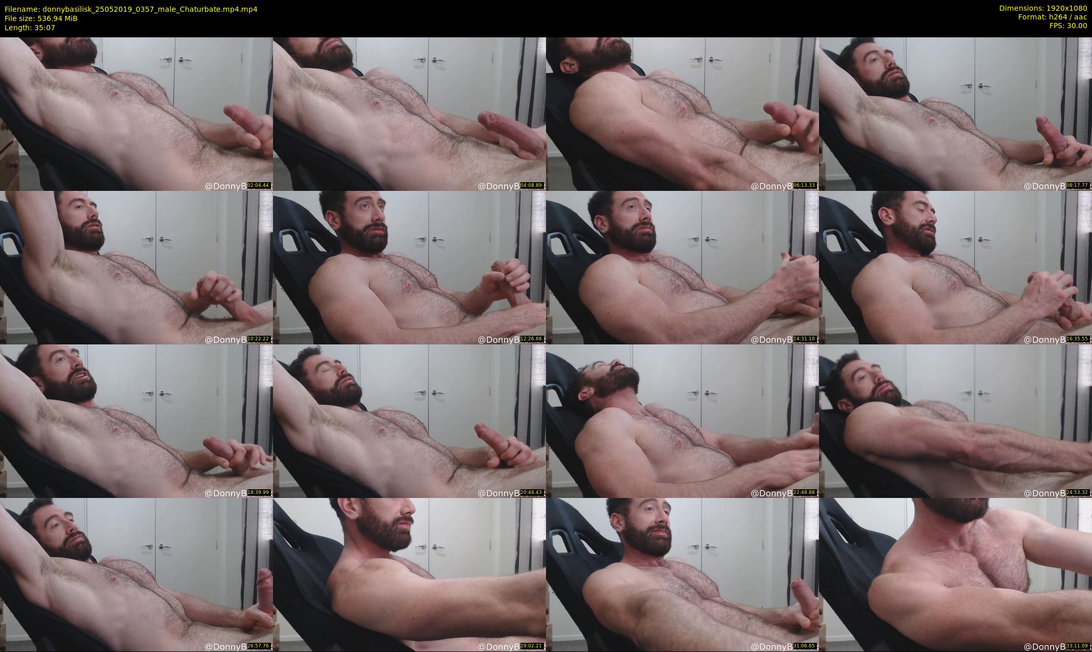 donnybasilisk — 36 minute Chaturbate male cam show recording, 1080p, May 25, 2019