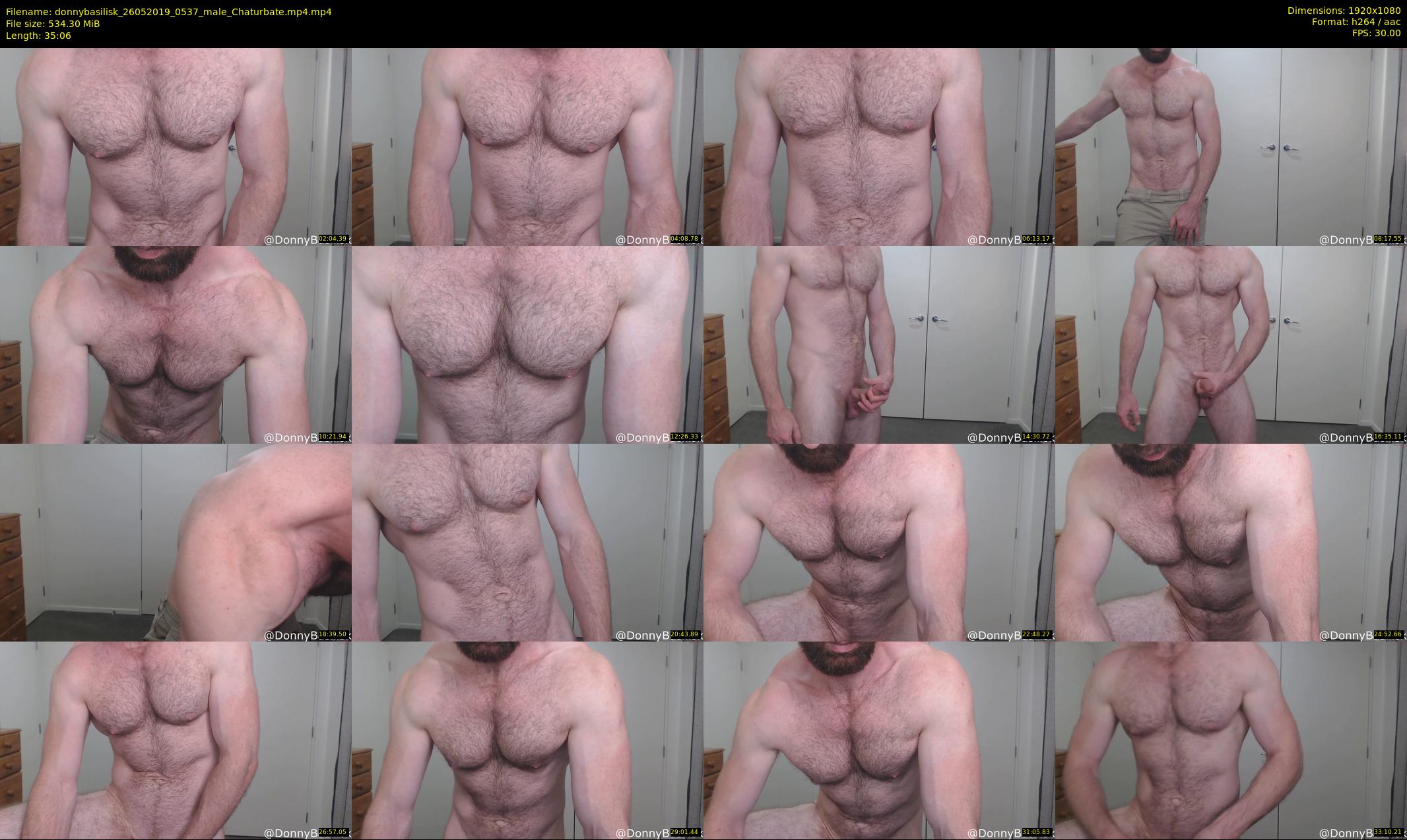 donnybasilisk — 36 minute Chaturbate male cam show recording, 1080p, May 26, 2019