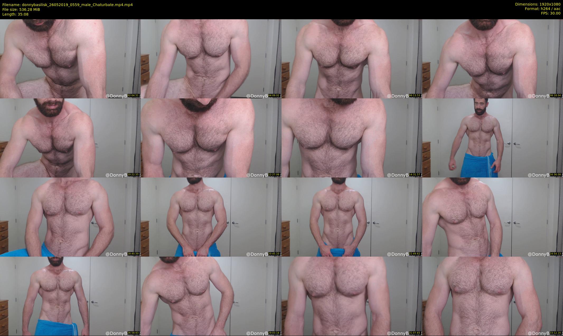 donnybasilisk — 36 minute Chaturbate male cam show recording, 1080p, May 26, 2019