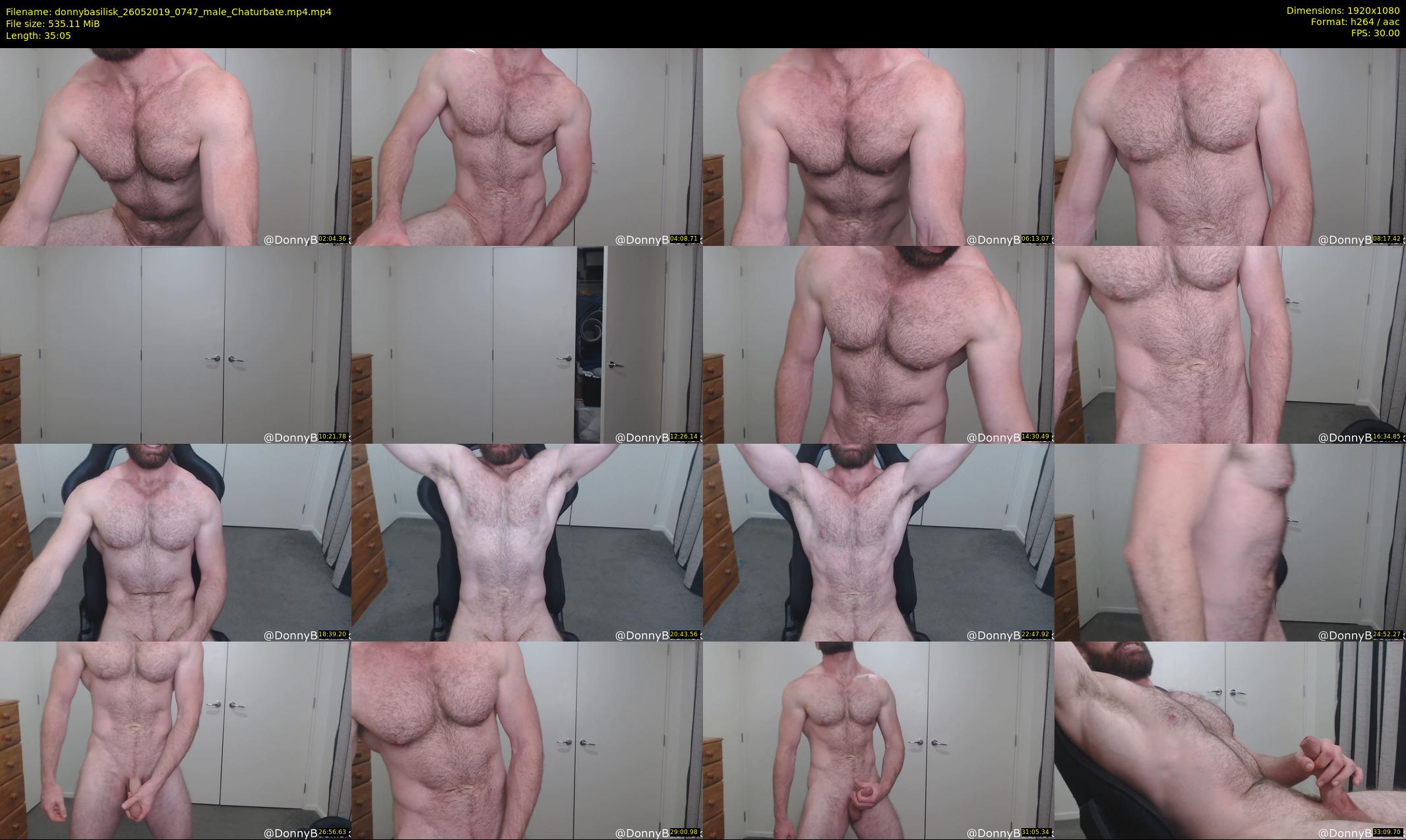 donnybasilisk — 36 minute Chaturbate male cam show recording, 1080p, May 26, 2019