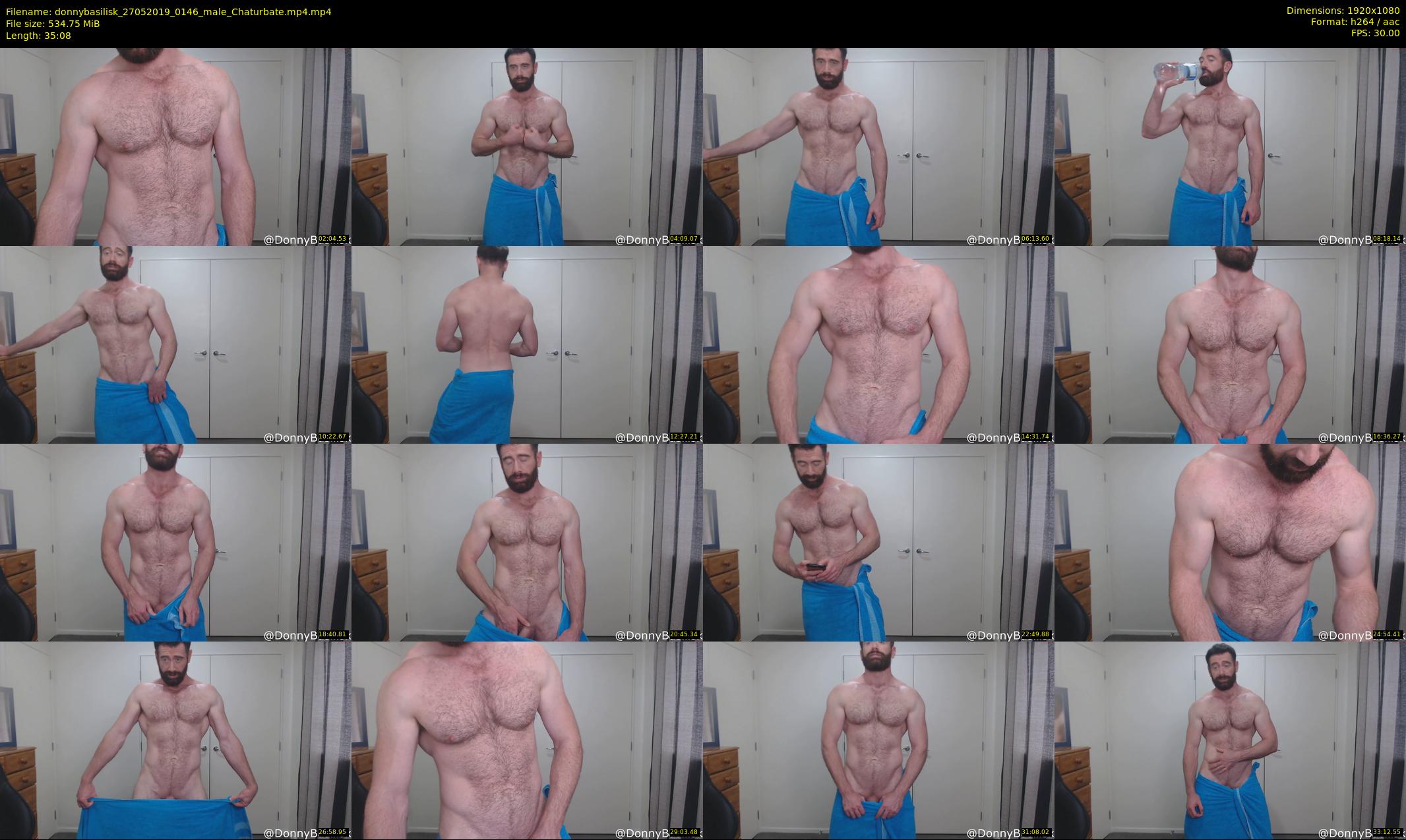 donnybasilisk — 36 minute Chaturbate male cam show recording, 1080p, May 27, 2019