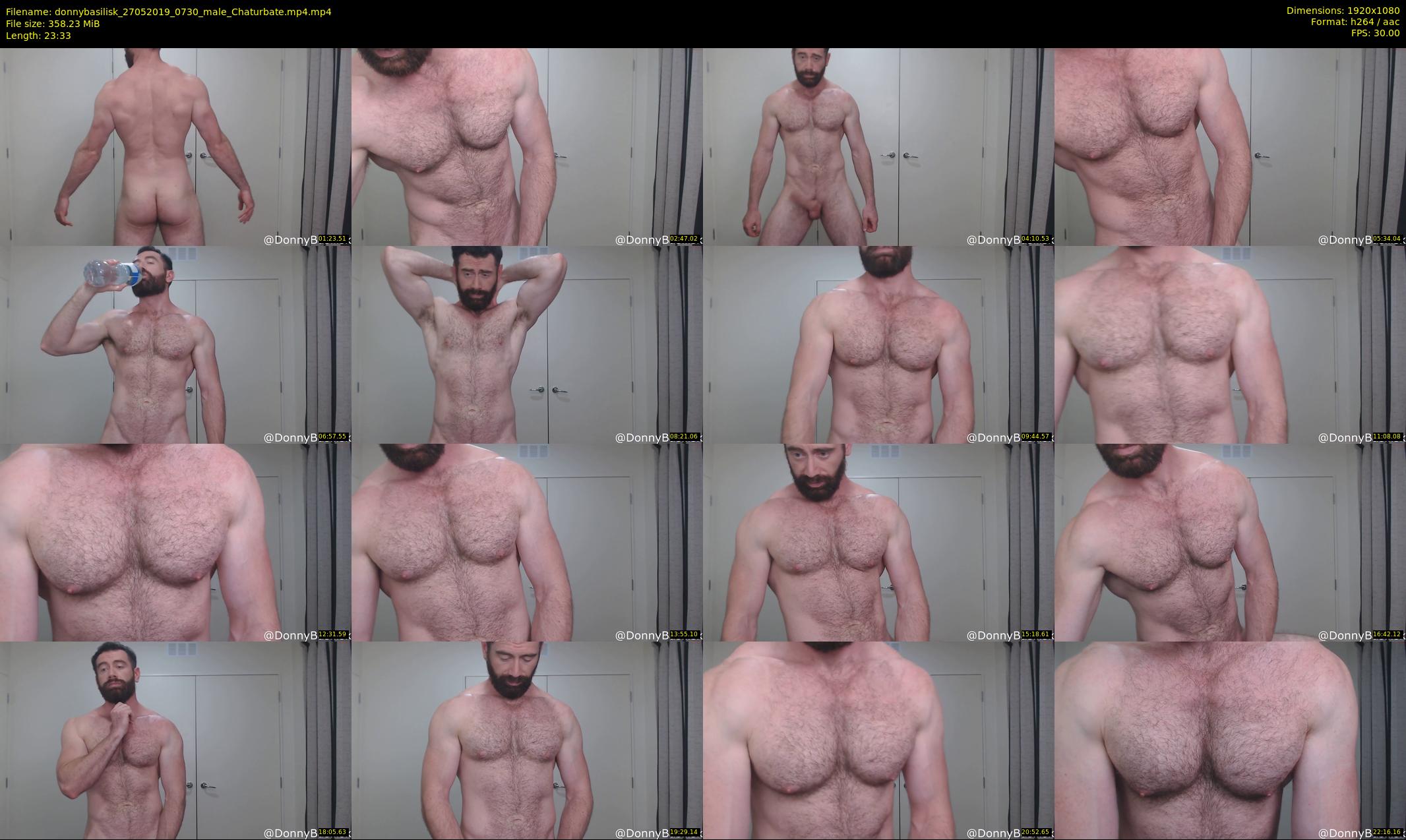 donnybasilisk — 24 minute Chaturbate male cam show recording, 1080p, May 27, 2019