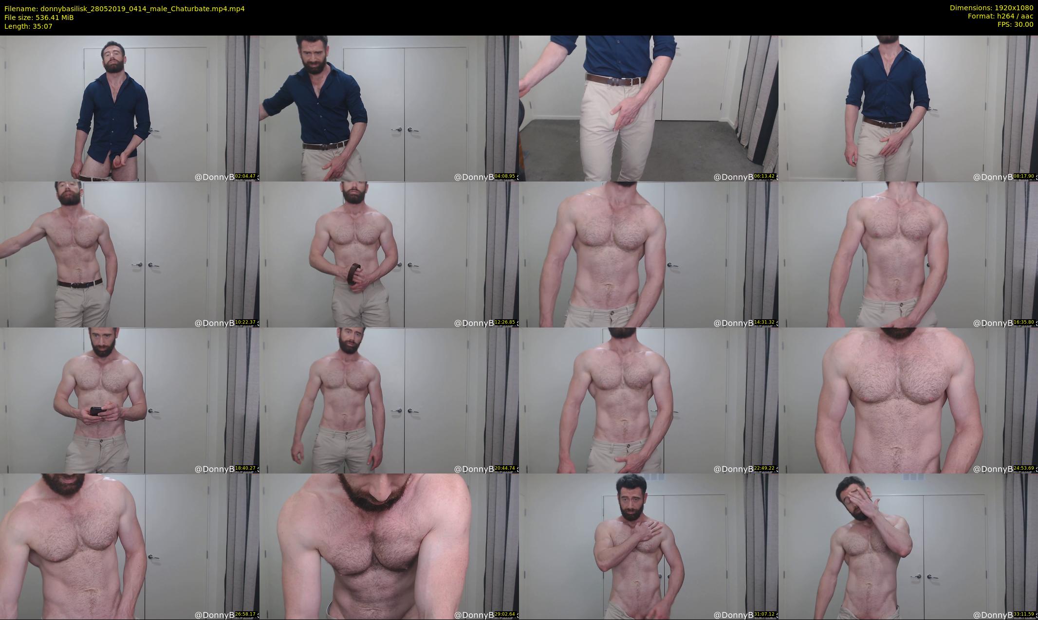 donnybasilisk — 36 minute Chaturbate male cam show recording, 1080p, May 28, 2019