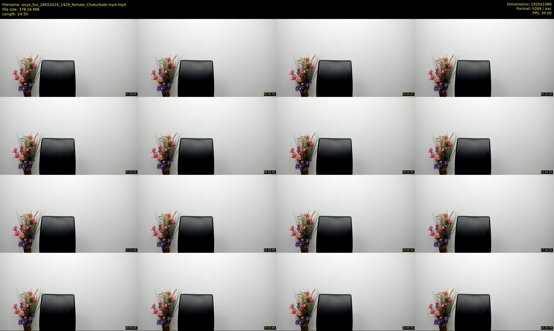 anya_fox — 25 minute Chaturbate female cam show recording, 1080p, May 28, 2019