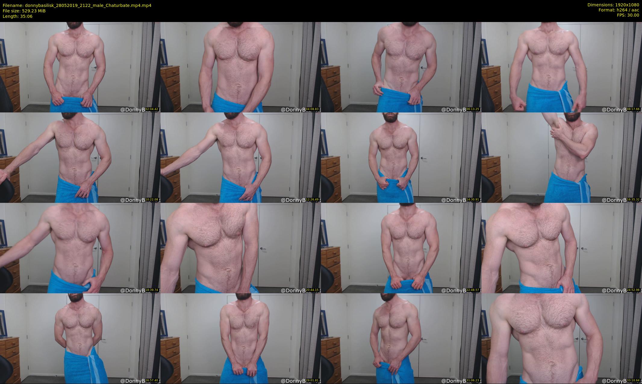donnybasilisk — 36 minute Chaturbate male cam show recording, 1080p, May 28, 2019