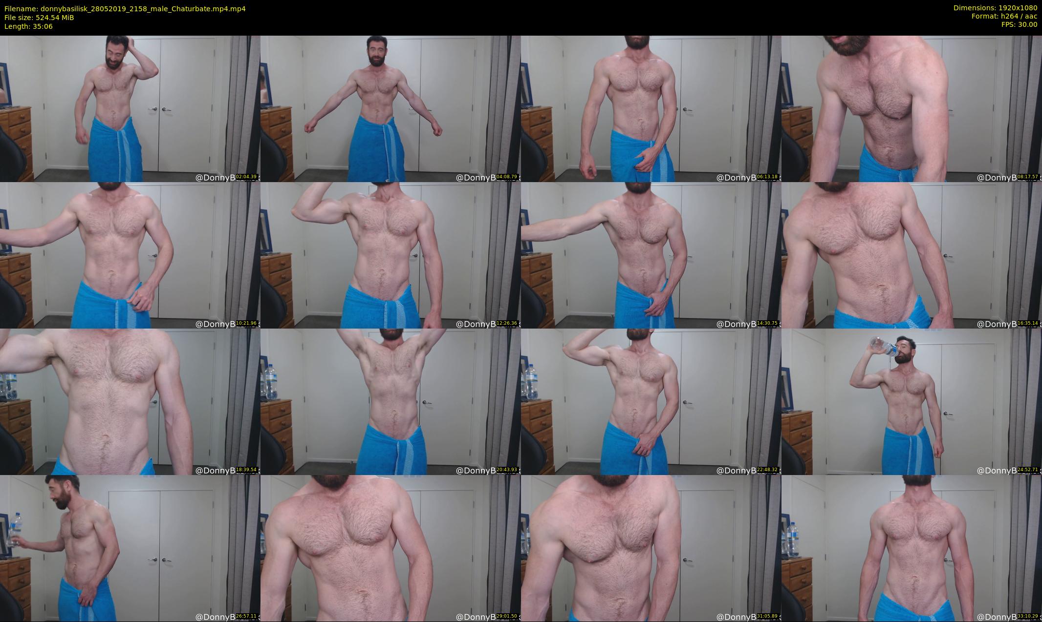 donnybasilisk — 36 minute Chaturbate male cam show recording, 1080p, May 28, 2019