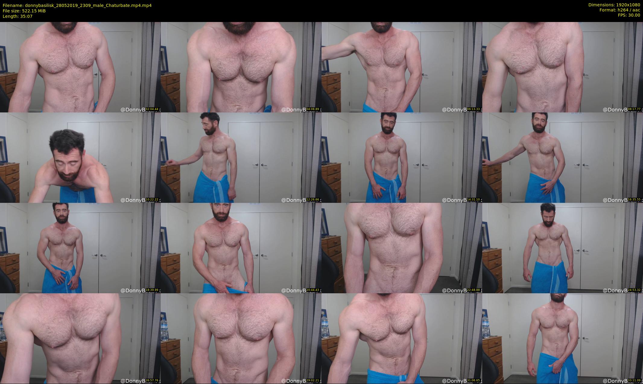 donnybasilisk — 36 minute Chaturbate male cam show recording, 1080p, May 28, 2019