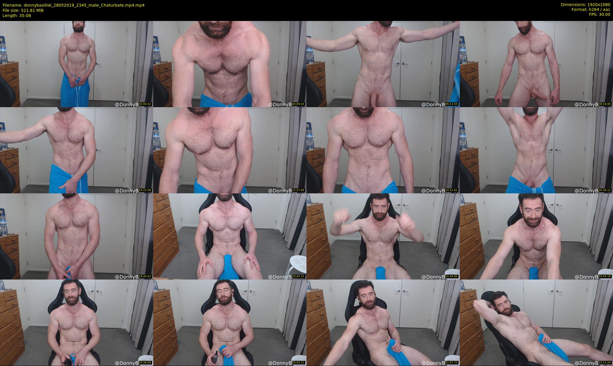 donnybasilisk — 36 minute Chaturbate male cam show recording, 1080p, May 28, 2019