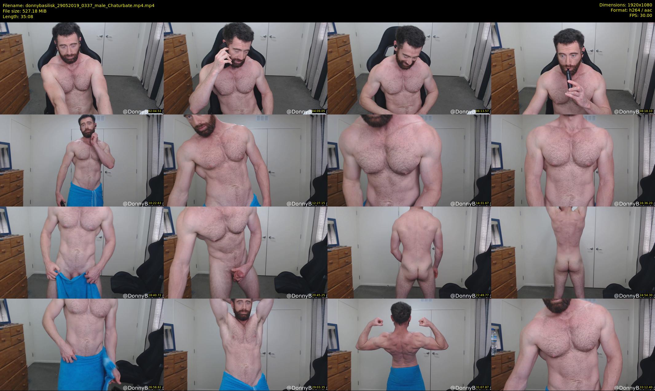 donnybasilisk — 36 minute Chaturbate male cam show recording, 1080p, May 29, 2019