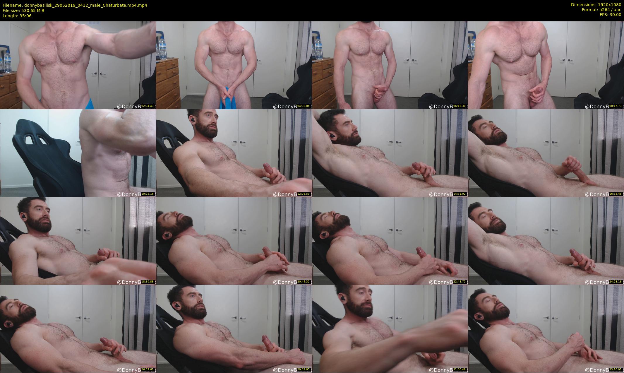 donnybasilisk — 36 minute Chaturbate male cam show recording, 1080p, May 29, 2019