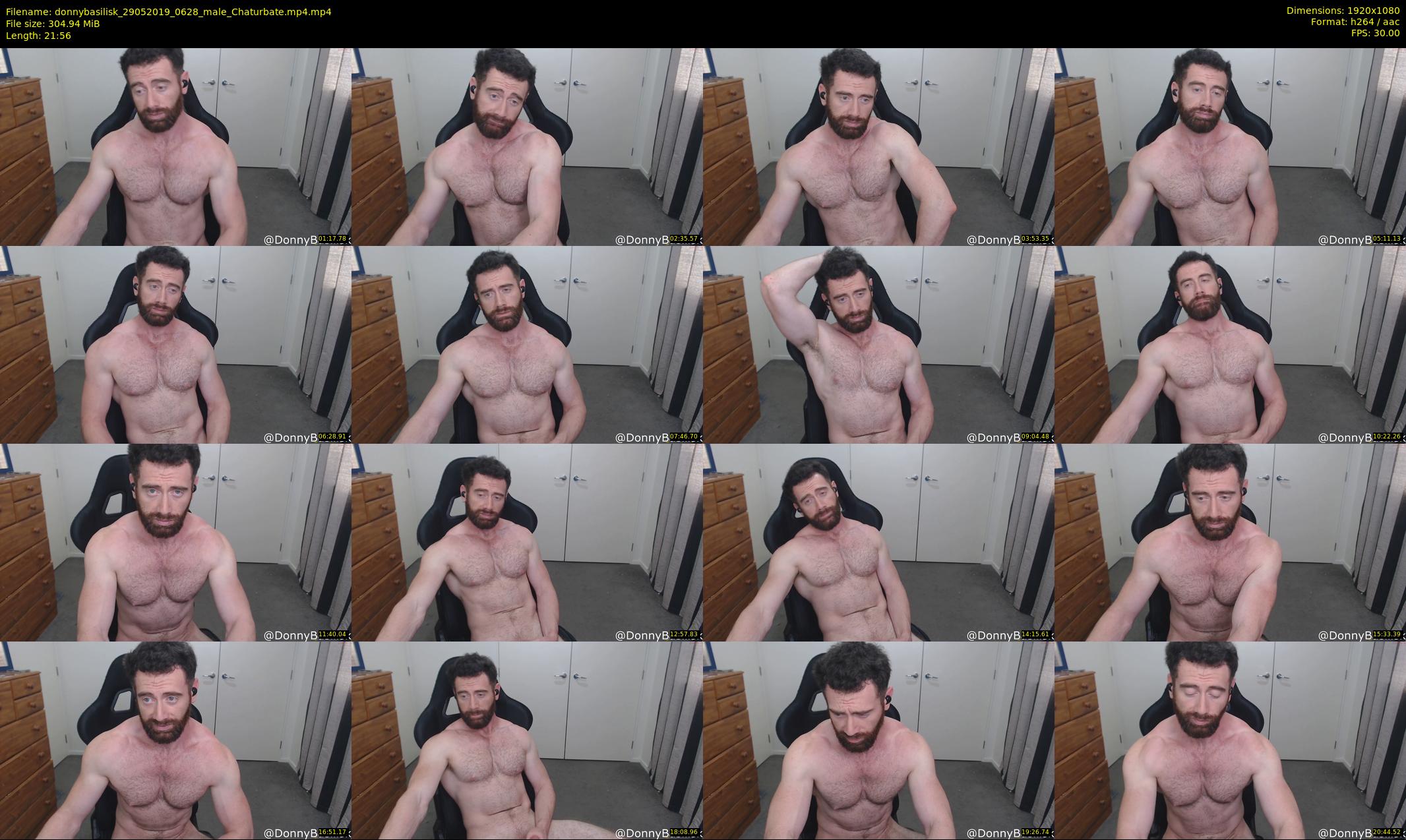 donnybasilisk — 22 minute Chaturbate male cam show recording, 1080p, May 29, 2019