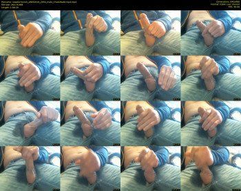iowafarmcock — 69 minute Chaturbate male cam show recording, 480p, May 28, 2019