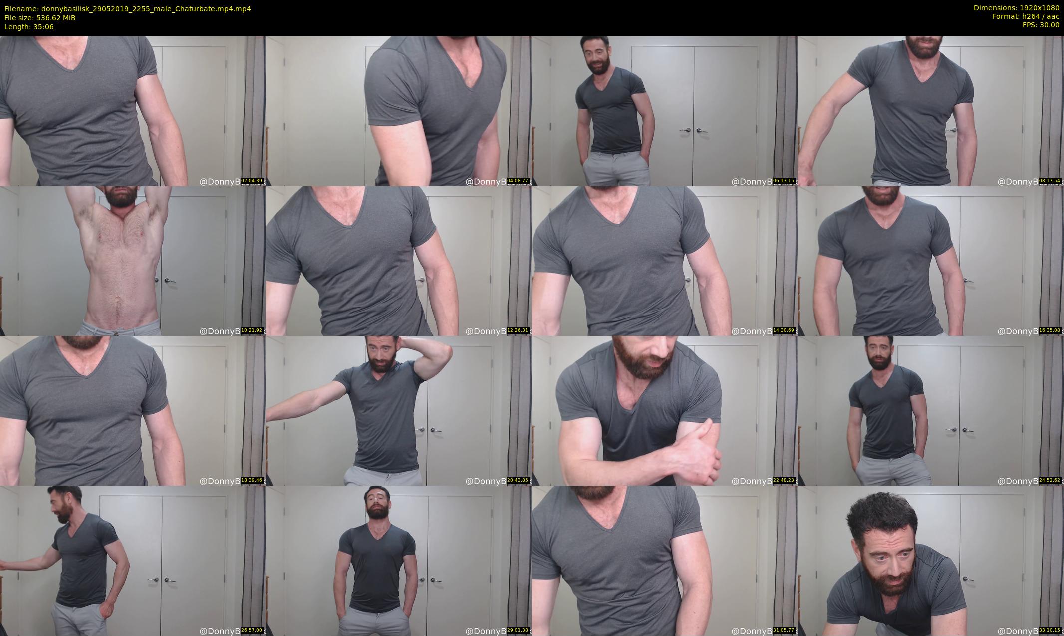 donnybasilisk — 36 minute Chaturbate male cam show recording, 1080p, May 29, 2019