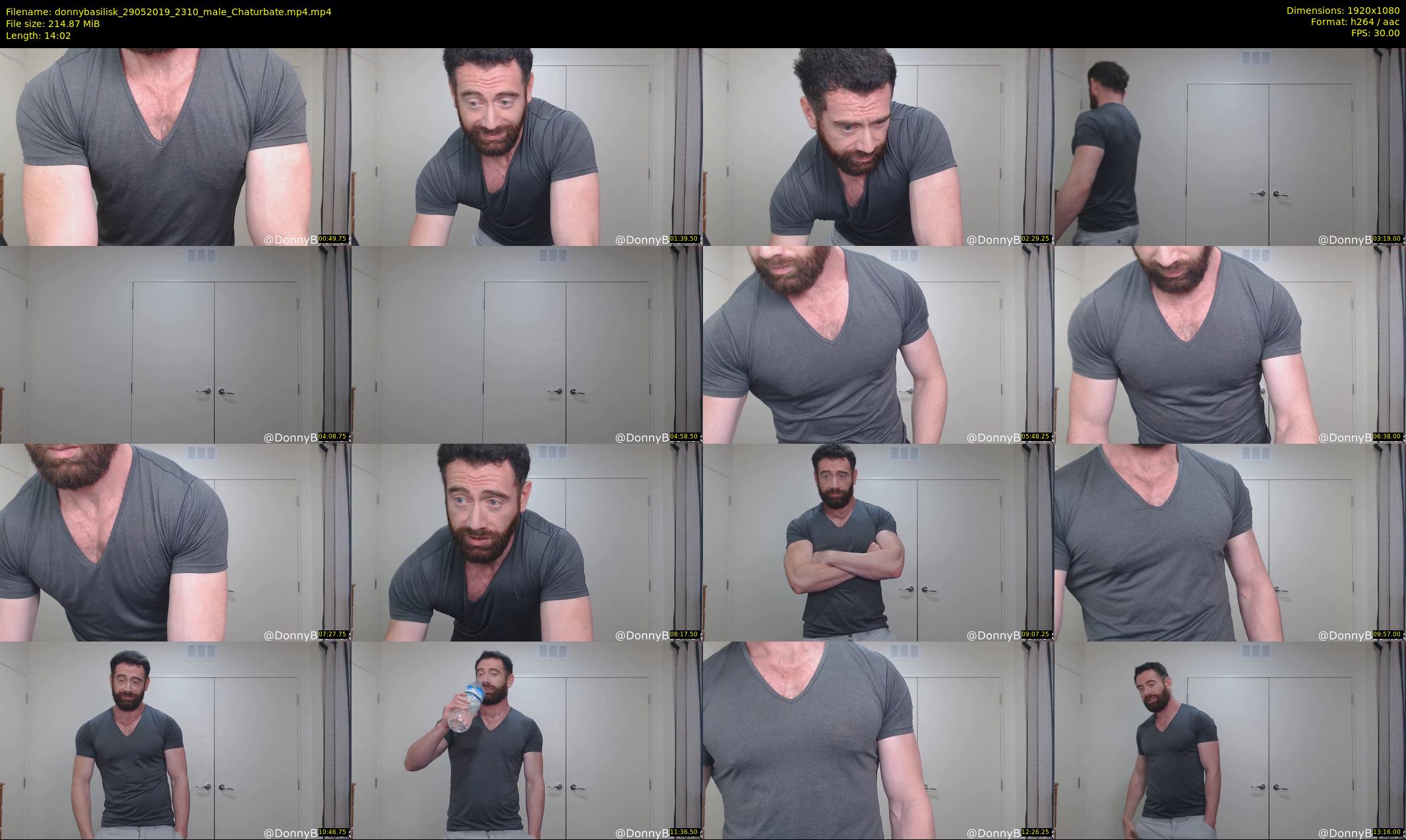 donnybasilisk — 15 minute Chaturbate male cam show recording, 1080p, May 29, 2019