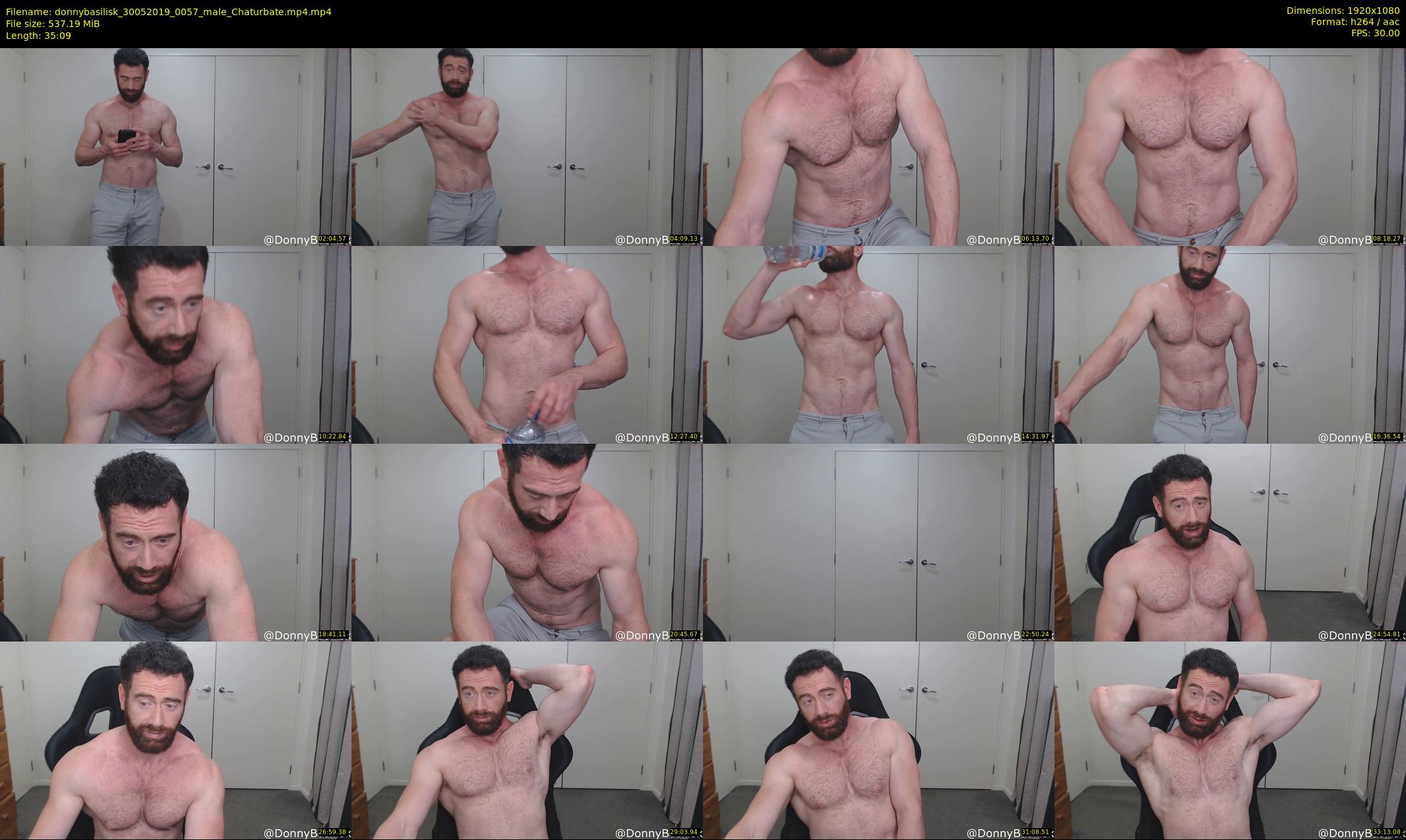 donnybasilisk — 36 minute Chaturbate male cam show recording, 1080p, May 30, 2019