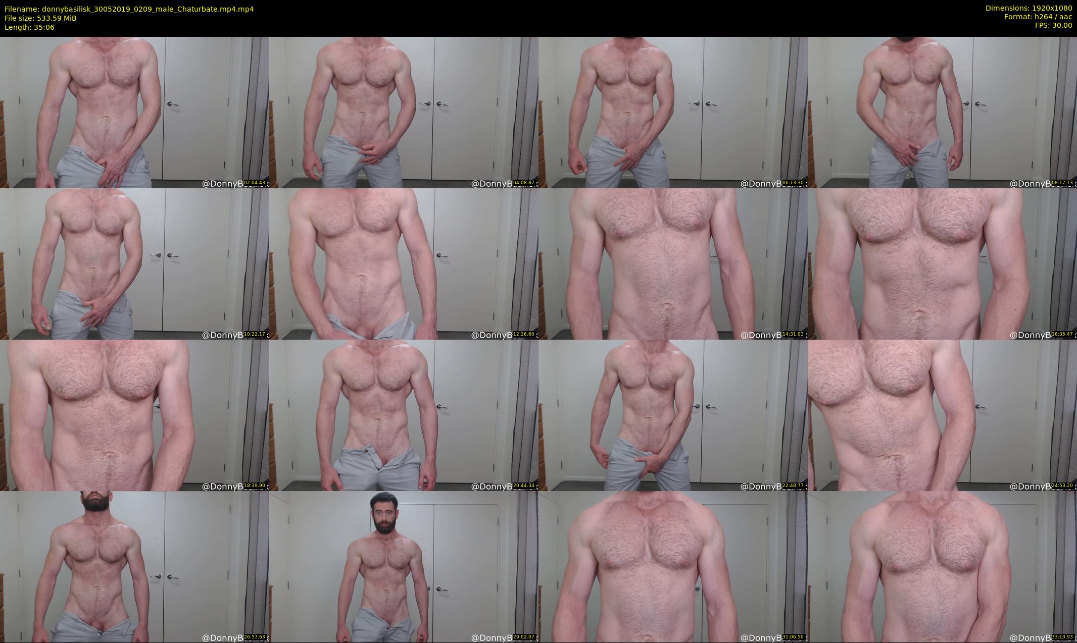 donnybasilisk — 36 minute Chaturbate male cam show recording, 1080p, May 30, 2019