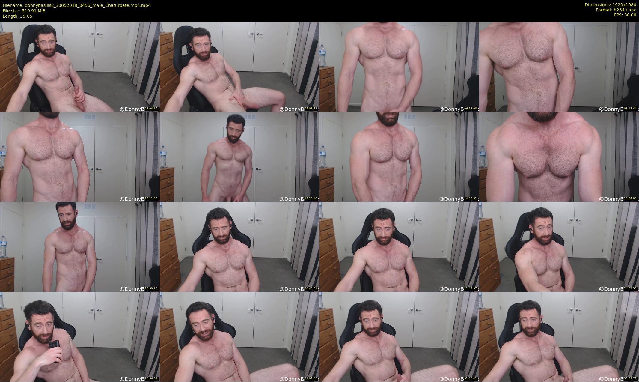 donnybasilisk — 36 minute Chaturbate male cam show recording, 1080p, May 30, 2019