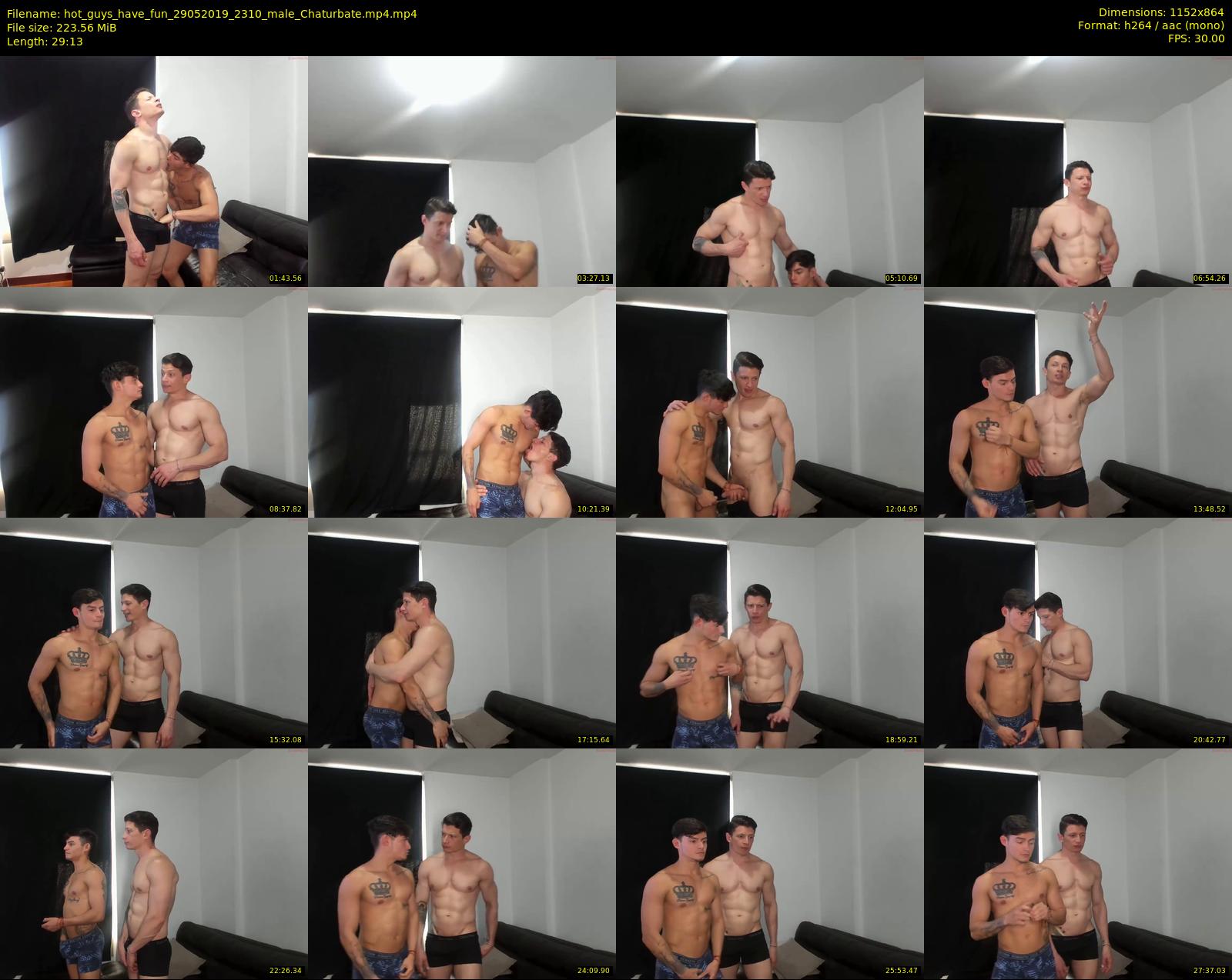 hot_guys_have_fun — 30 minute Chaturbate male cam show recording, 720p, May 29, 2019