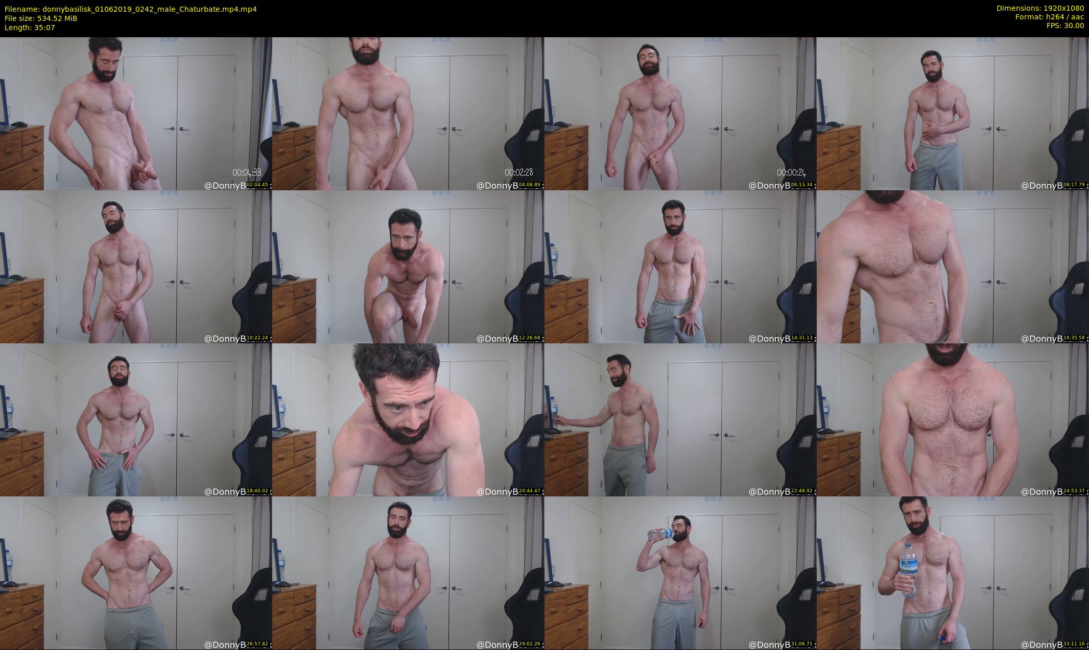 donnybasilisk — 36 minute Chaturbate male cam show recording, 1080p, Jun 1, 2019