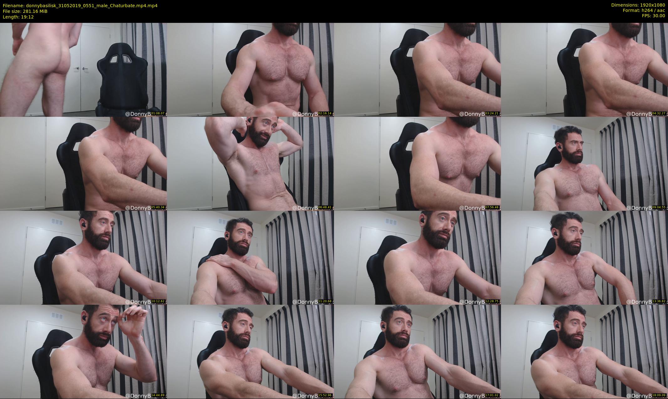 donnybasilisk — 20 minute Chaturbate male cam show recording, 1080p, May 31, 2019