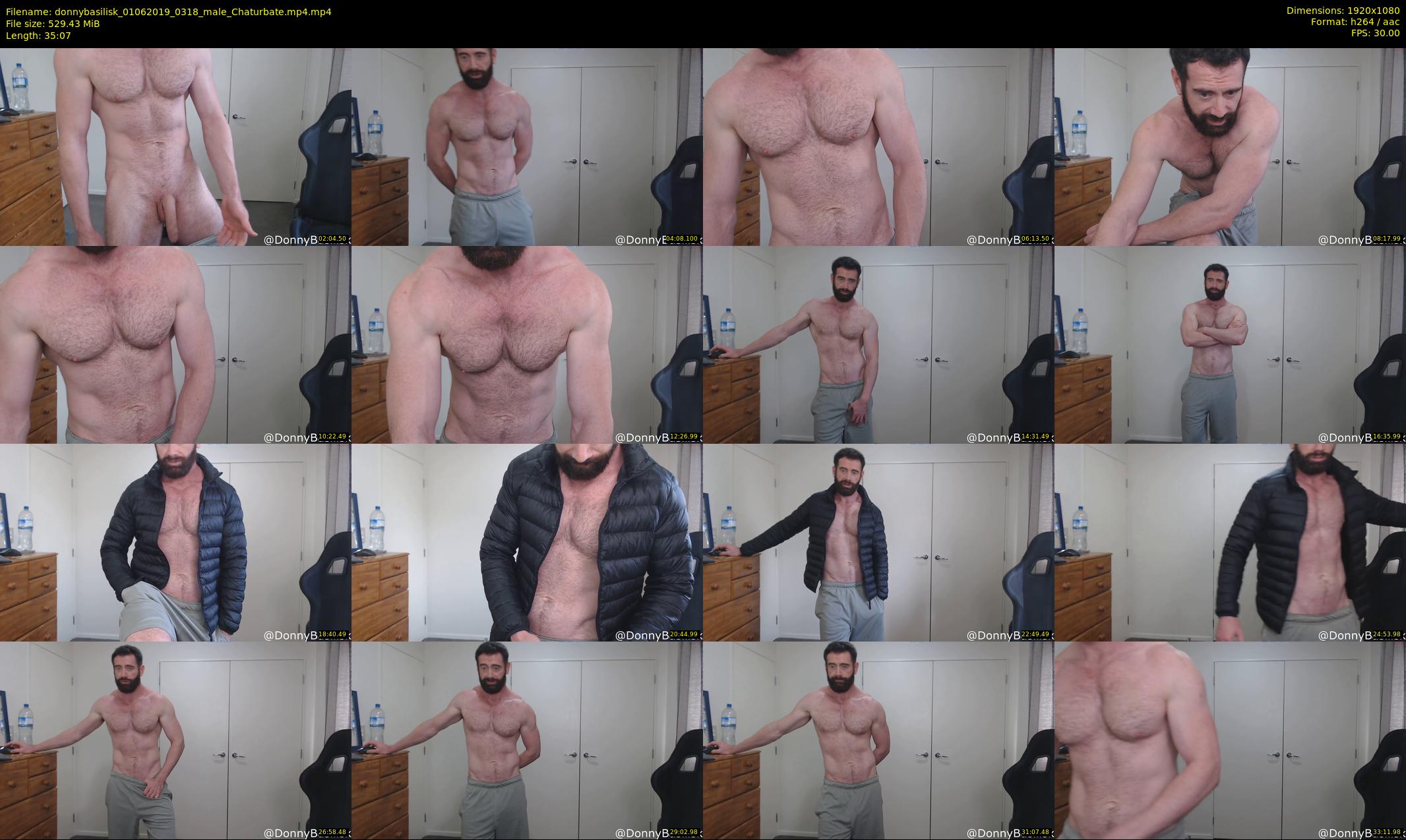 donnybasilisk — 36 minute Chaturbate male cam show recording, 1080p, Jun 1, 2019