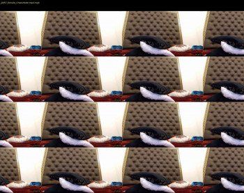 hotfallingdevil — 27 minute Chaturbate female cam show recording, 1080p, Jun 2, 2019
