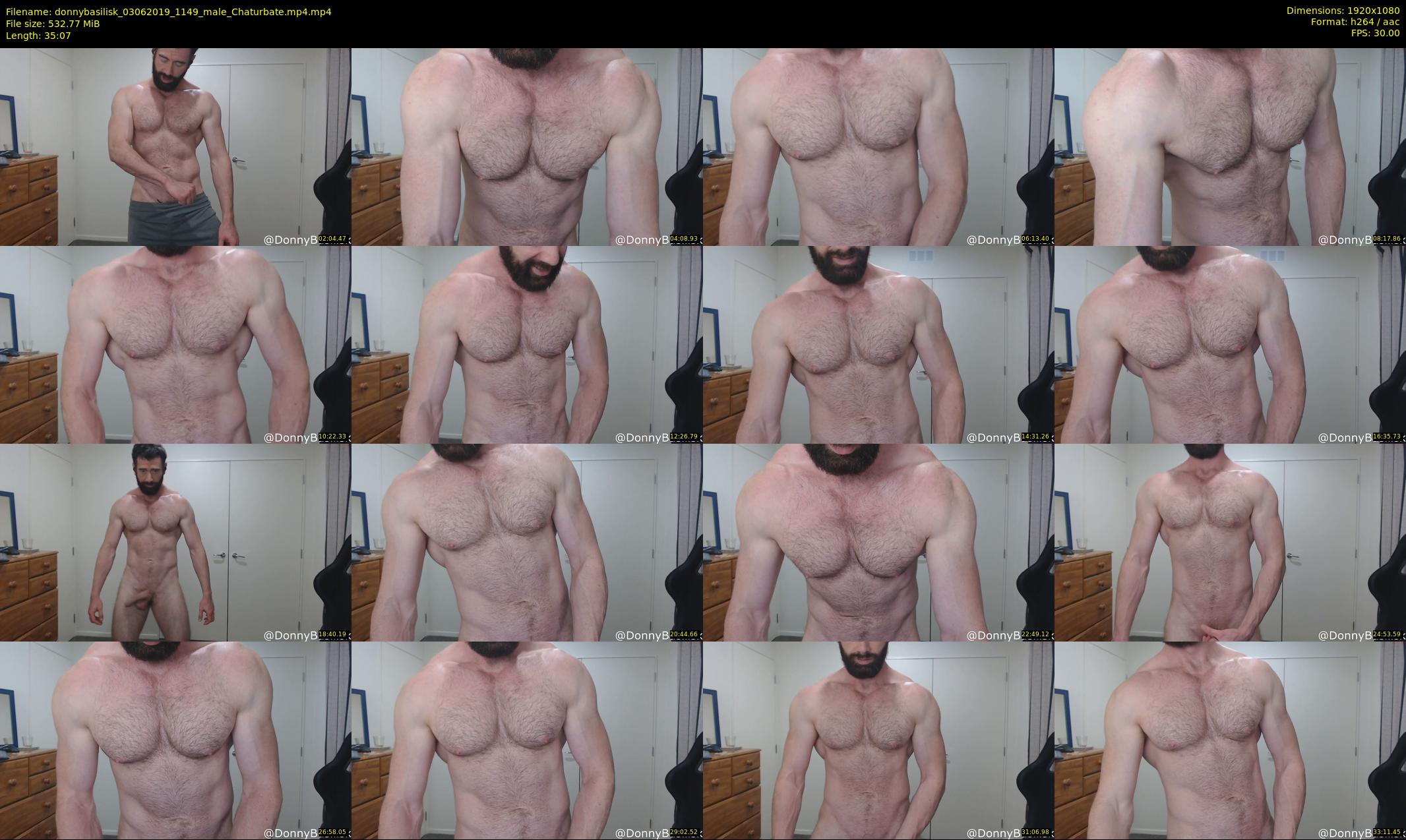 donnybasilisk — 36 minute Chaturbate male cam show recording, 1080p, Jun 3, 2019