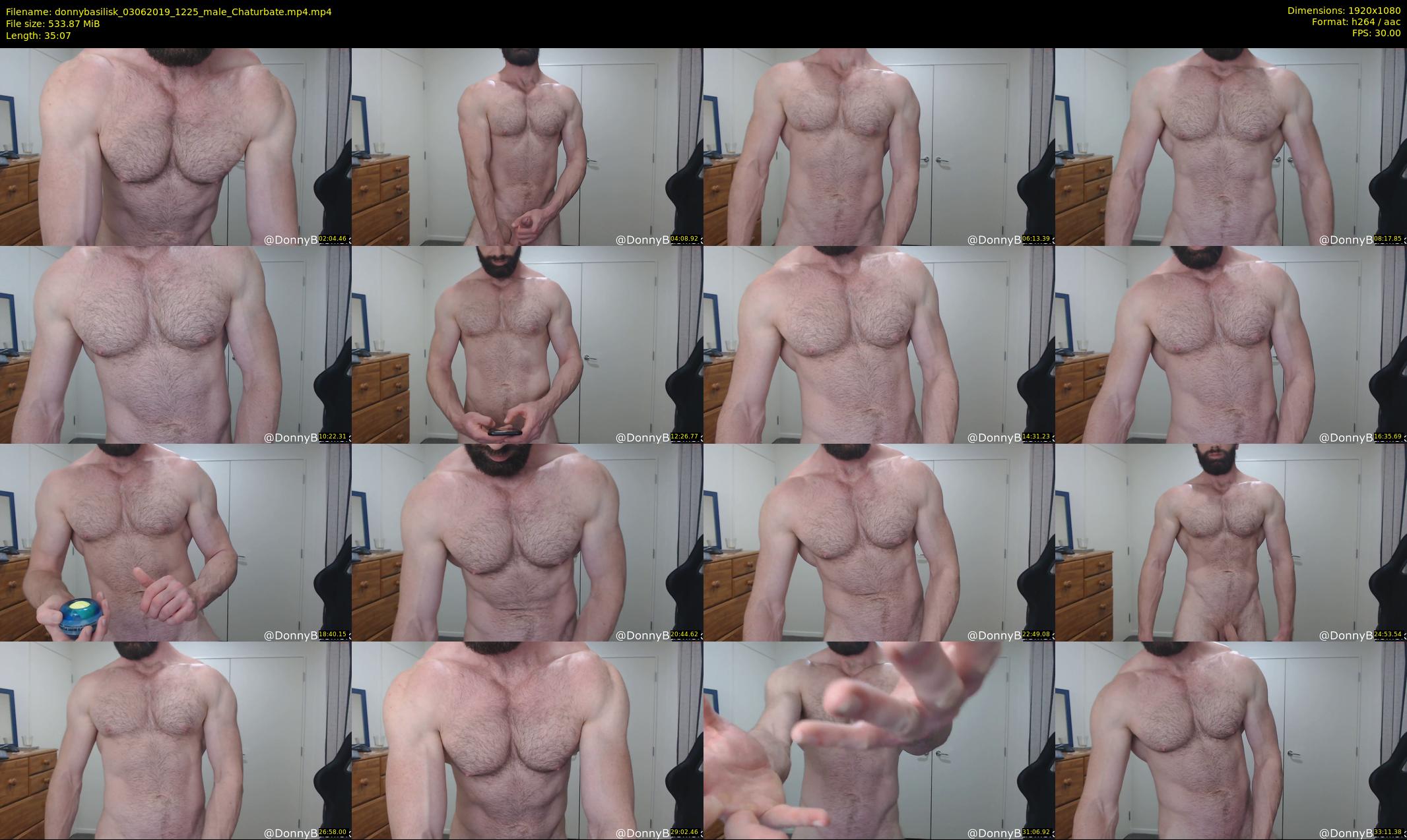 donnybasilisk — 36 minute Chaturbate male cam show recording, 1080p, Jun 3, 2019