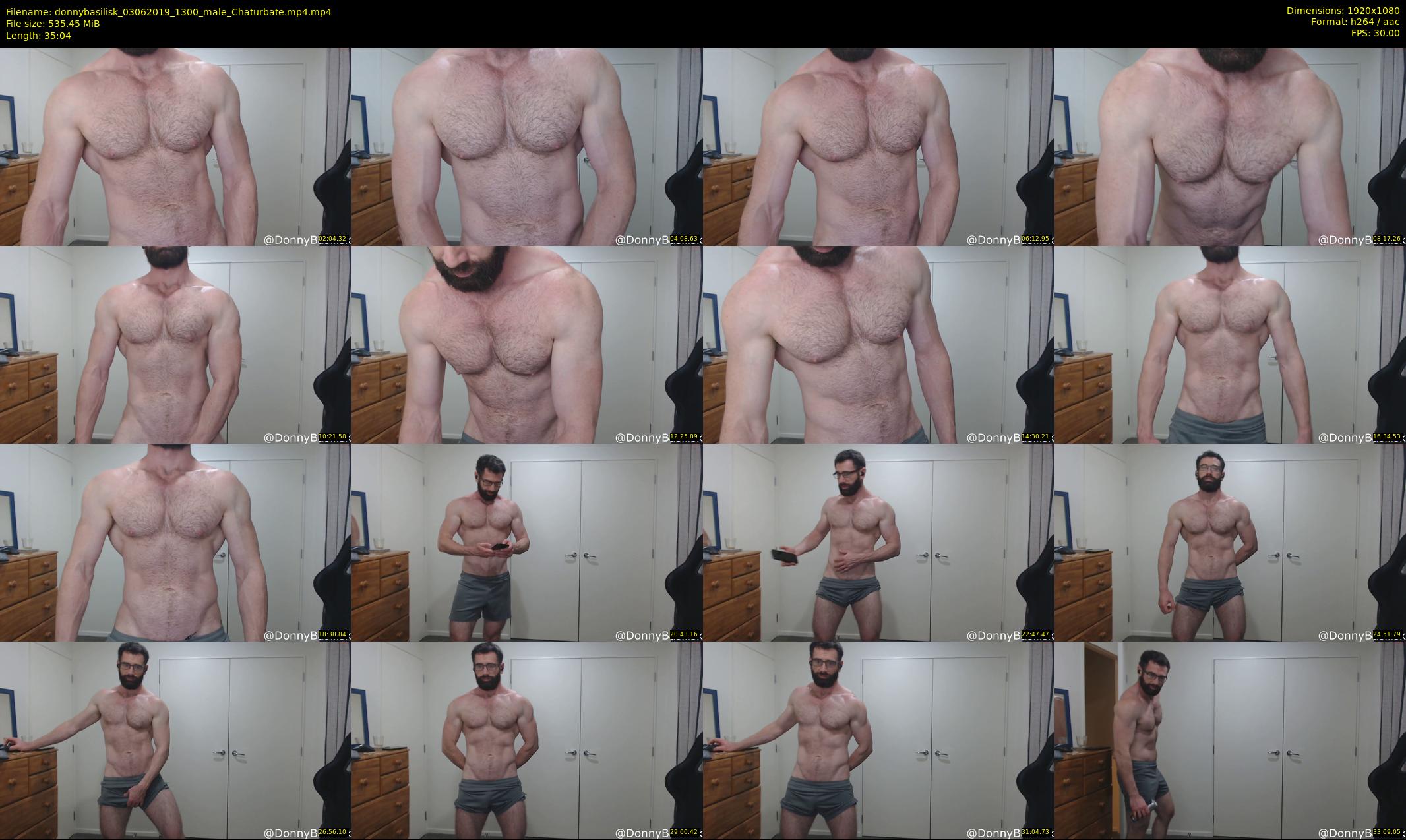 donnybasilisk — 36 minute Chaturbate male cam show recording, 1080p, Jun 3, 2019