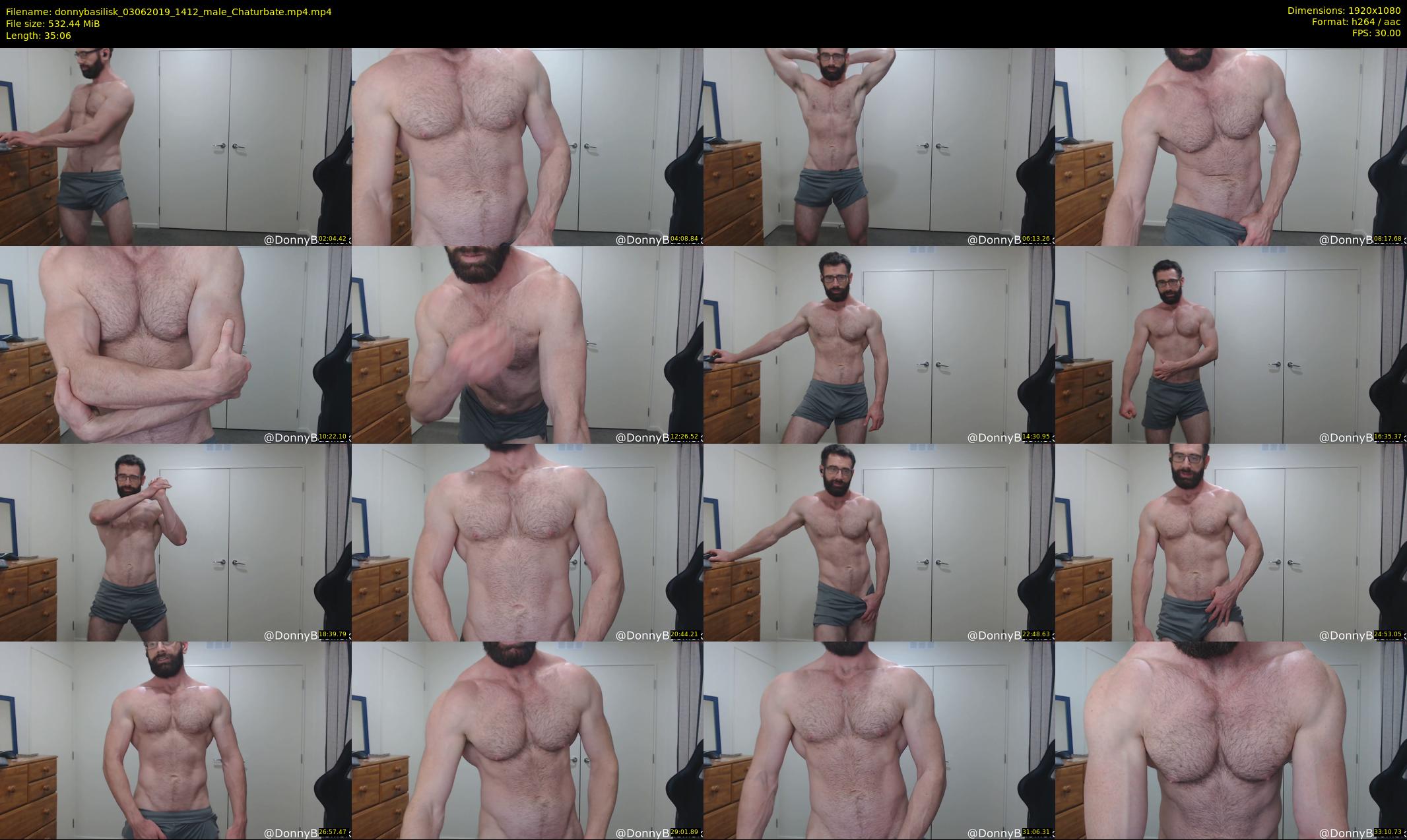 donnybasilisk — 36 minute Chaturbate male cam show recording, 1080p, Jun 3, 2019