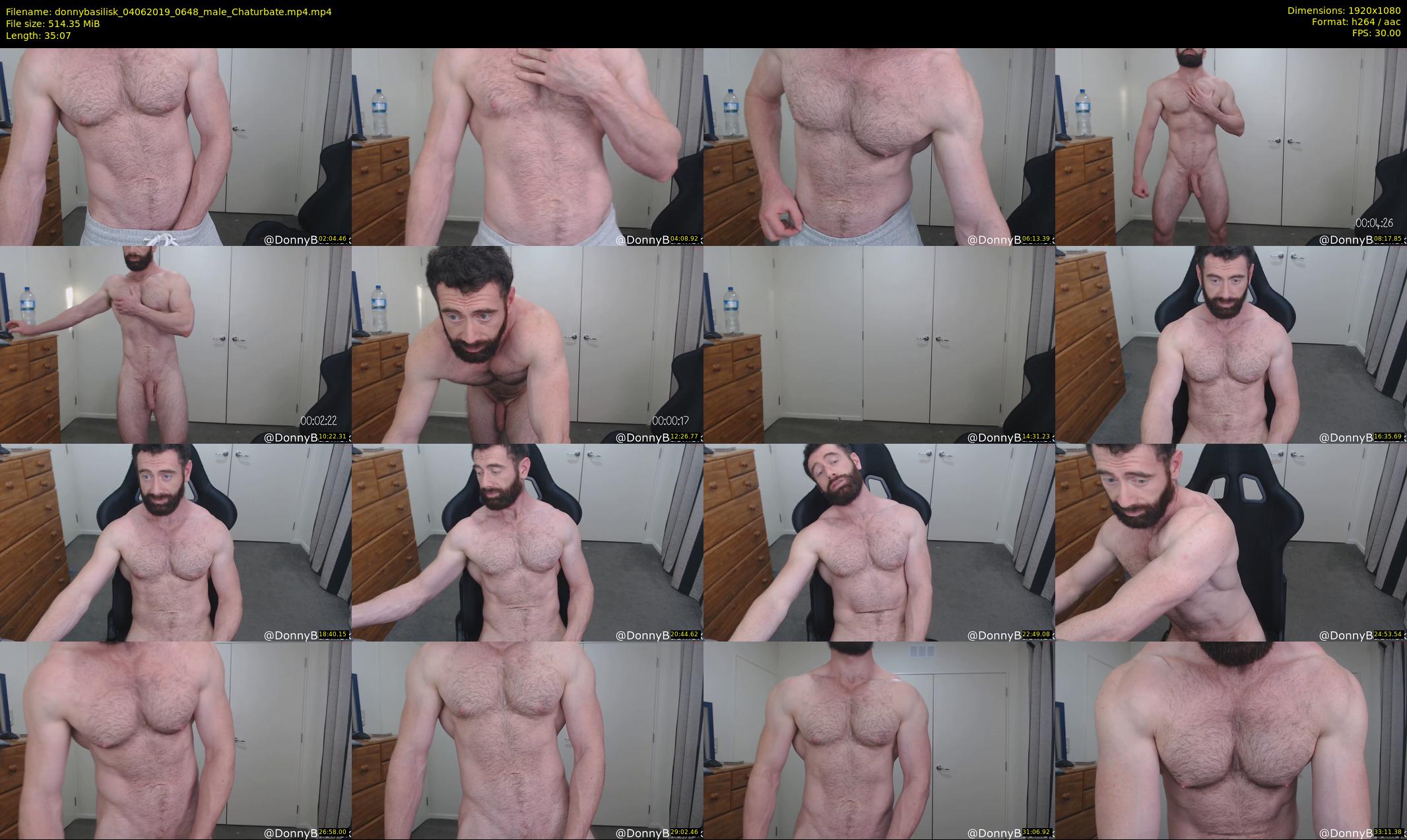 donnybasilisk — 36 minute Chaturbate male cam show recording, 1080p, Jun 4, 2019