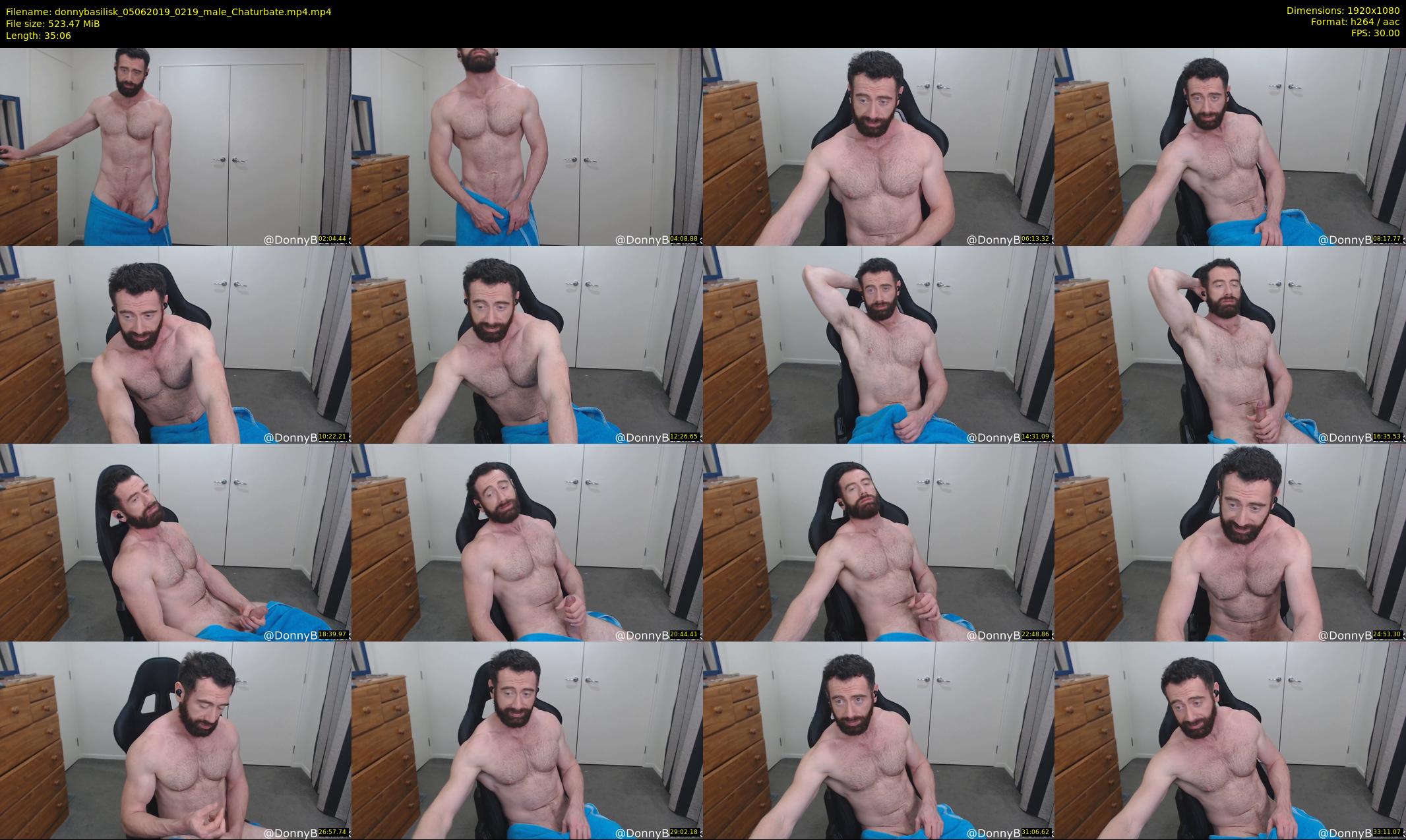 donnybasilisk — 36 minute Chaturbate male cam show recording, 1080p, Jun 5, 2019
