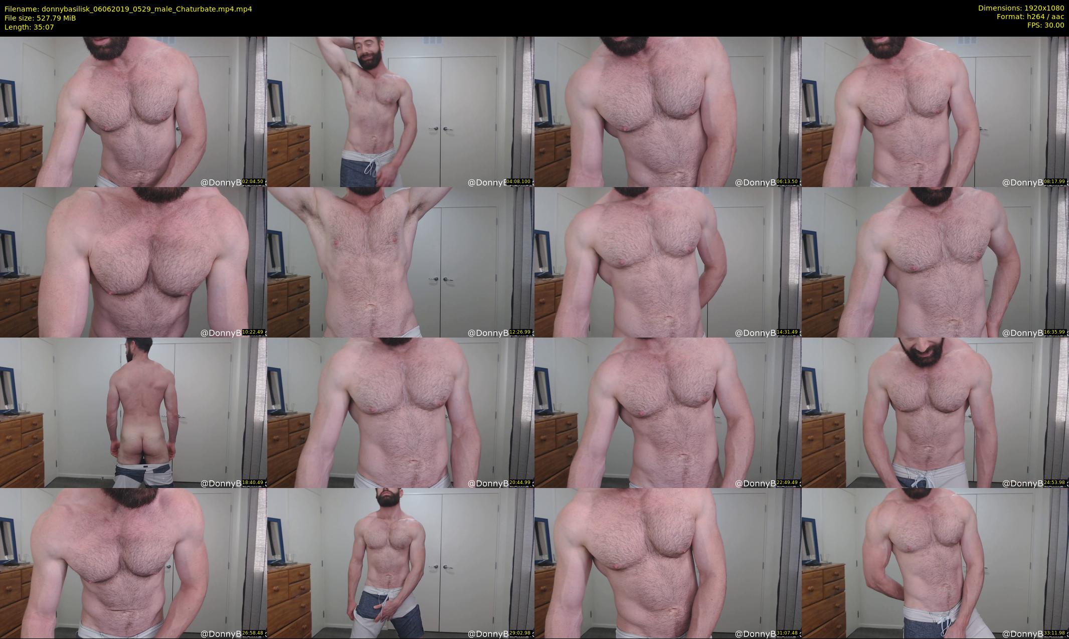 donnybasilisk — 36 minute Chaturbate male cam show recording, 1080p, Jun 6, 2019