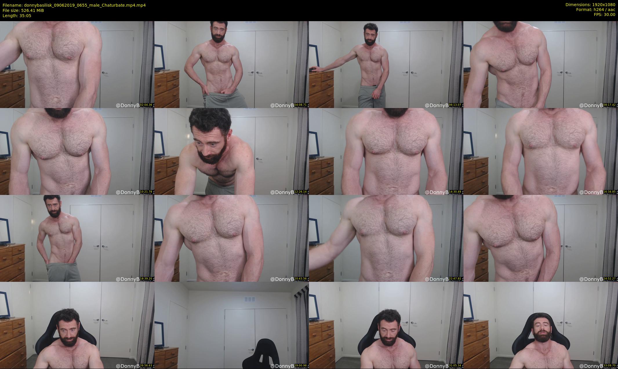 donnybasilisk — 36 minute Chaturbate male cam show recording, 1080p, Jun 9, 2019