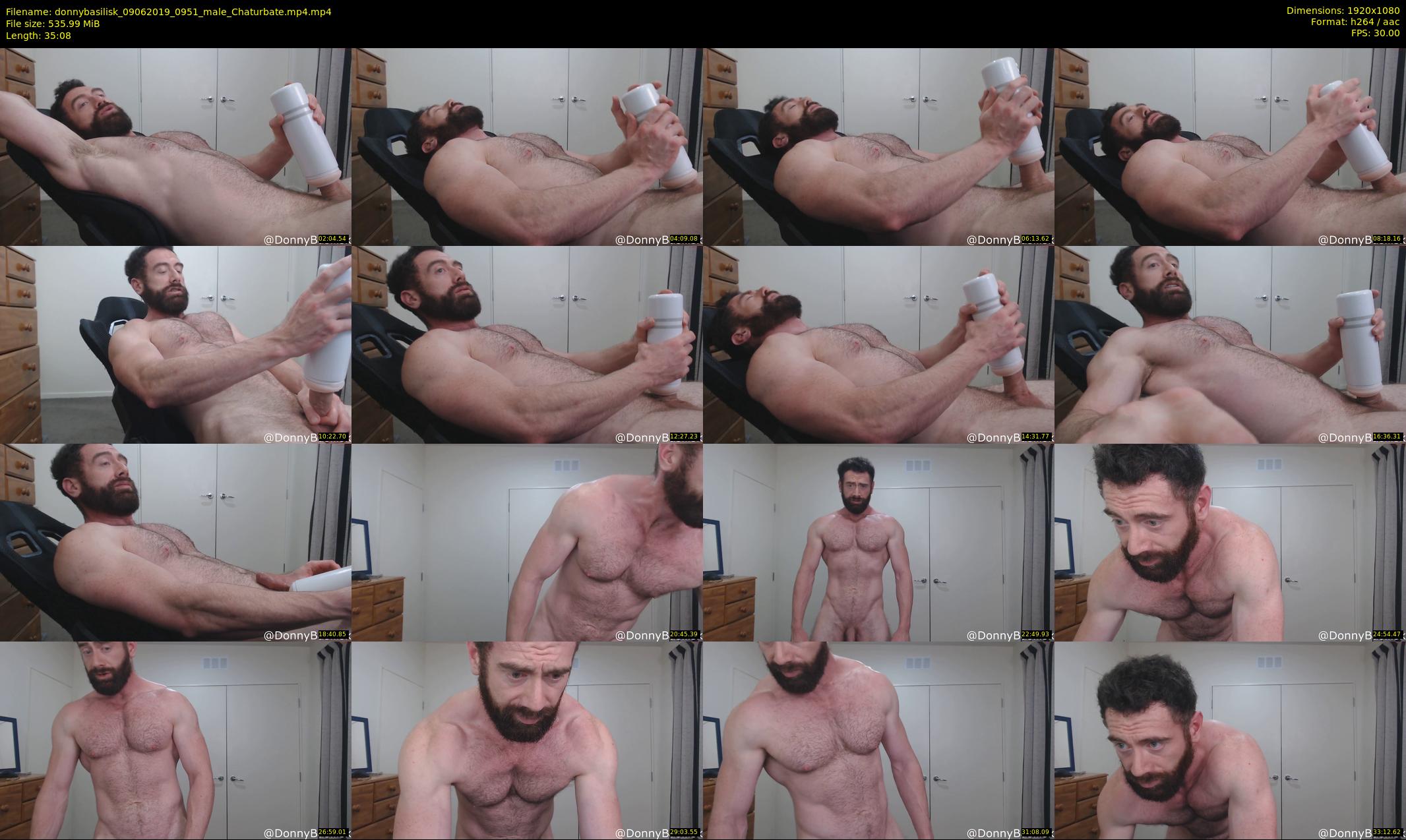 donnybasilisk — 36 minute Chaturbate male cam show recording, 1080p, Jun 9, 2019