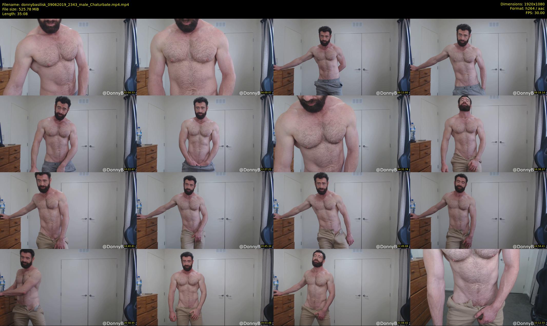 donnybasilisk — 36 minute Chaturbate male cam show recording, 1080p, Jun 9, 2019
