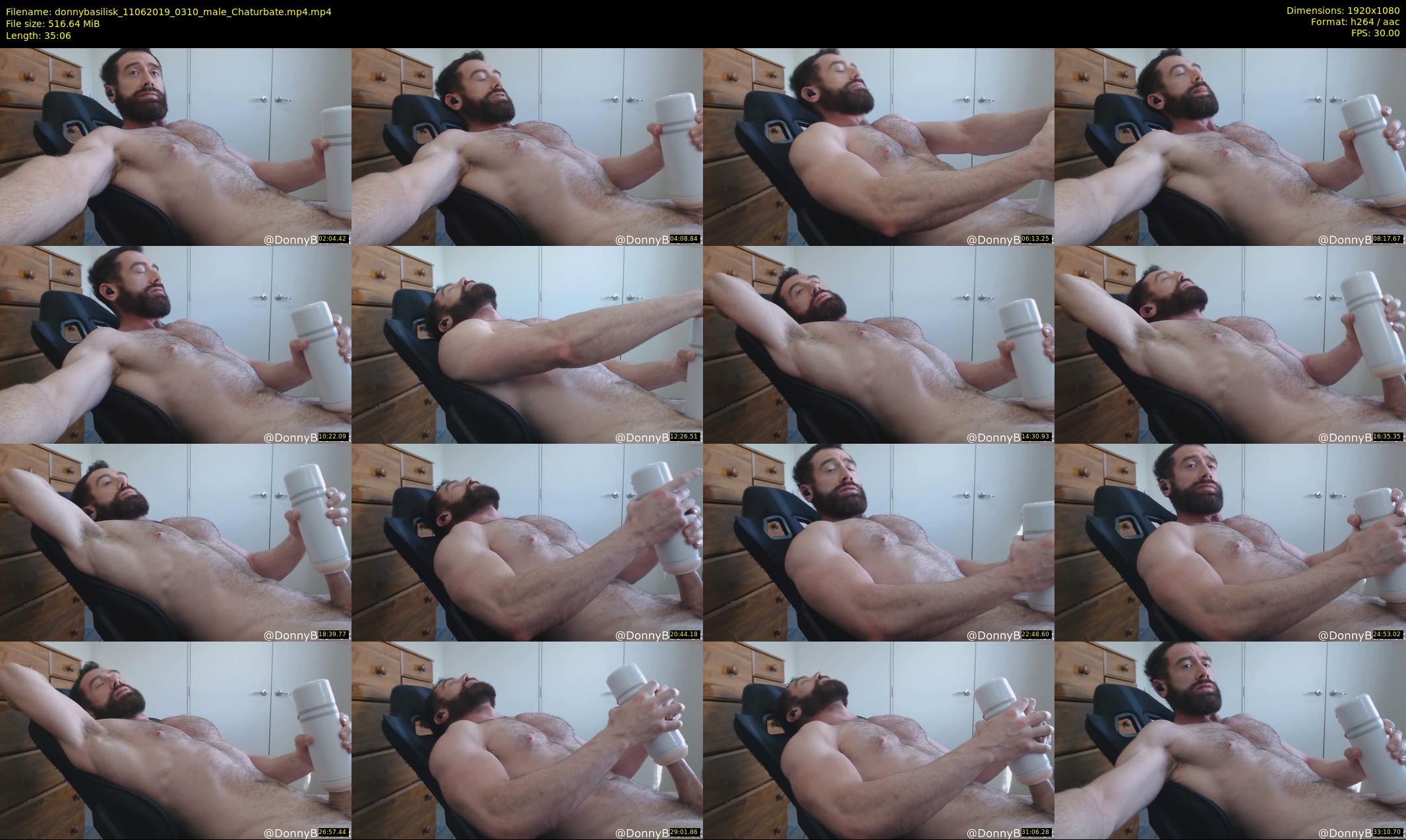 donnybasilisk — 36 minute Chaturbate male cam show recording, 1080p, Jun 11, 2019