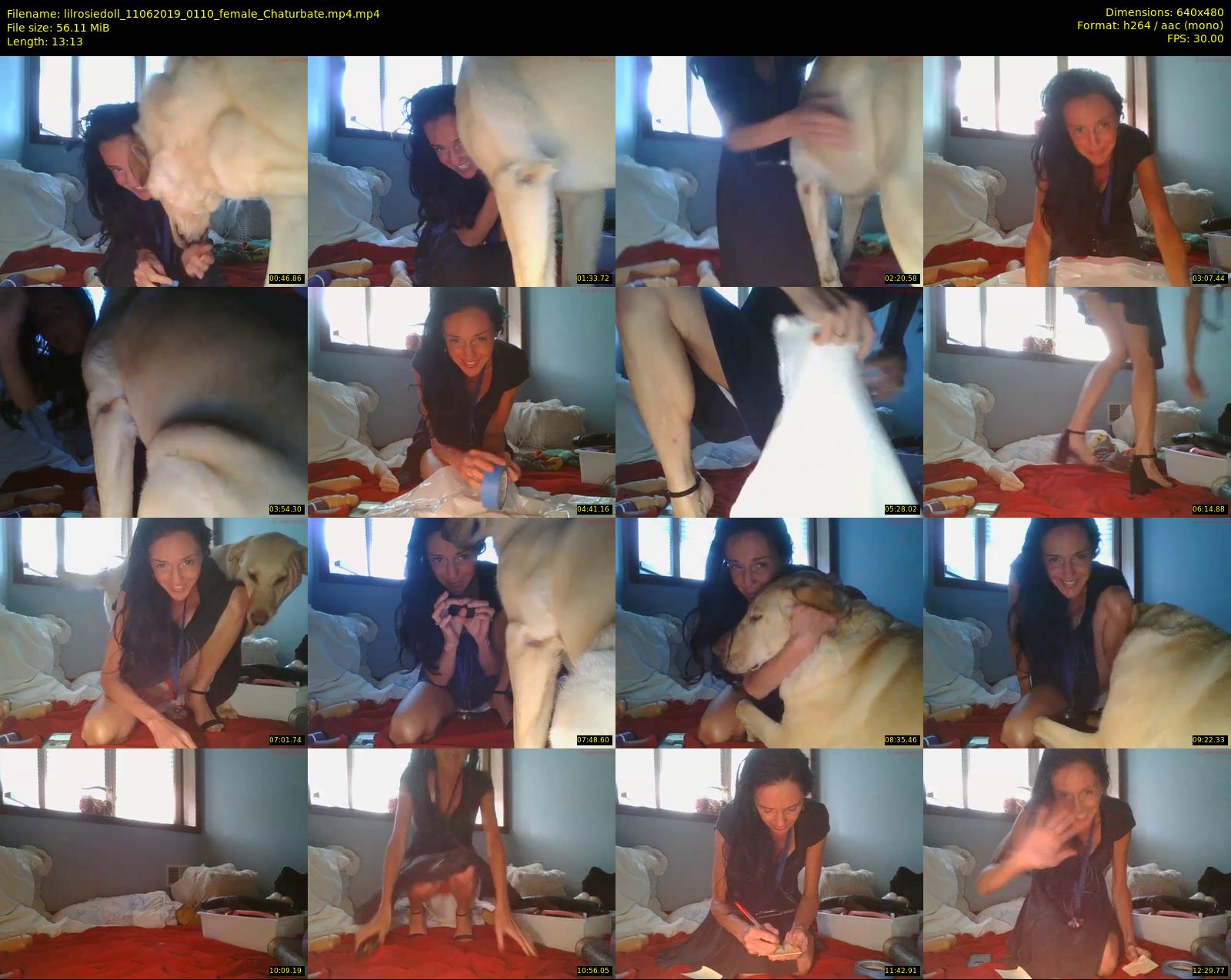 lilrosiedoll — 14 minute Chaturbate female cam show recording, 480p, Jun 11, 2019
