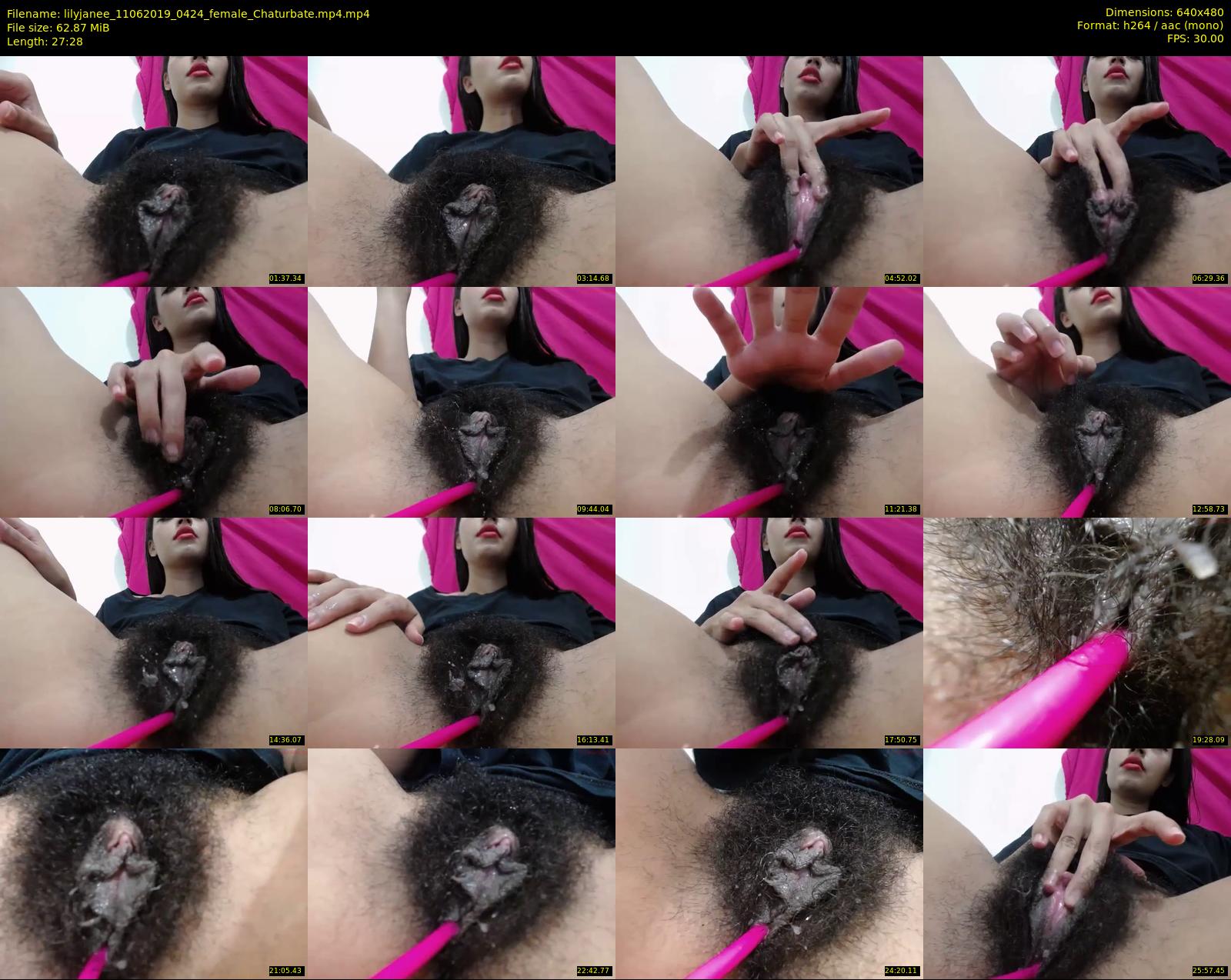 lilyjanee — 28 minute Chaturbate female cam show recording, 480p, Jun 11, 2019