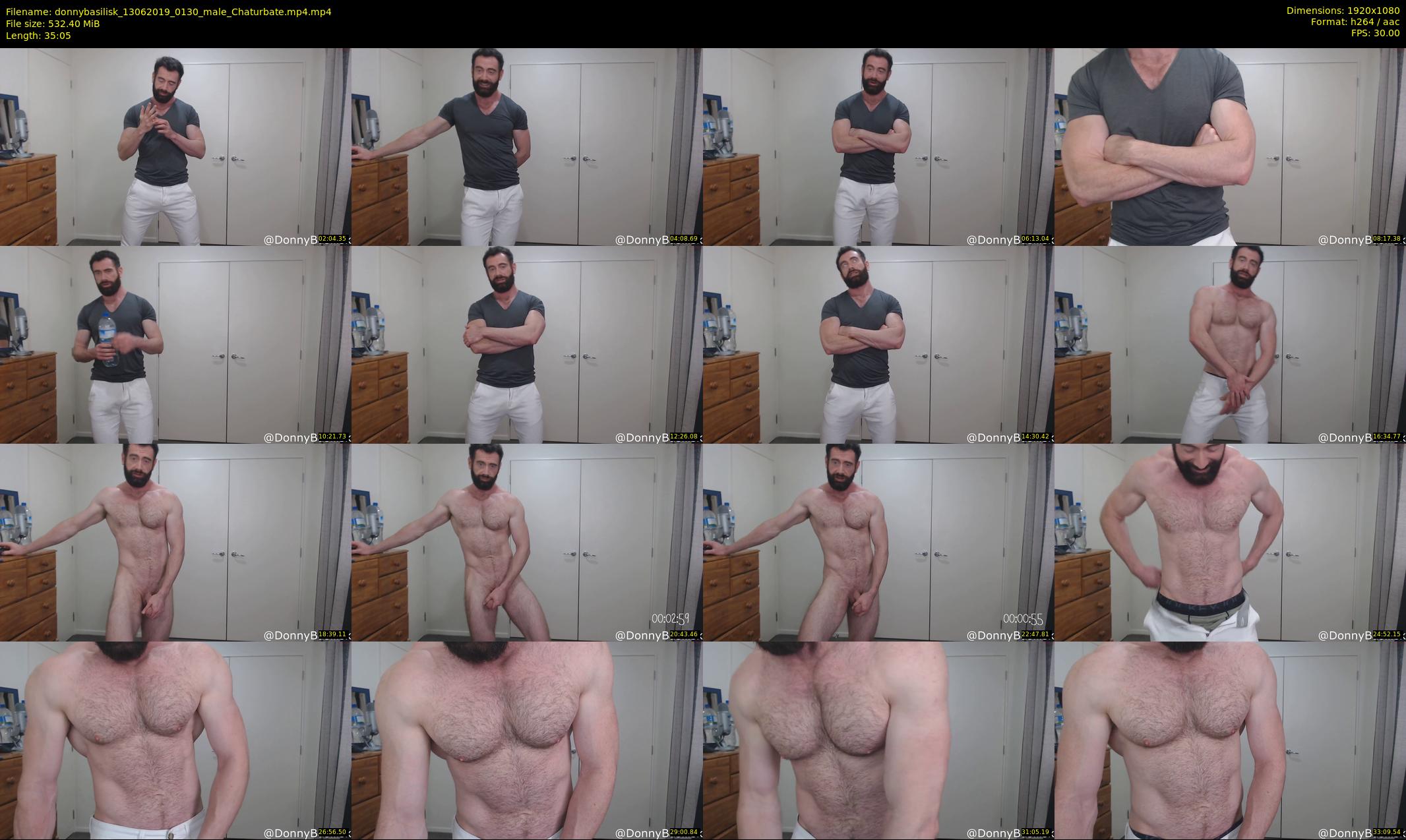 donnybasilisk — 36 minute Chaturbate male cam show recording, 1080p, Jun 13, 2019