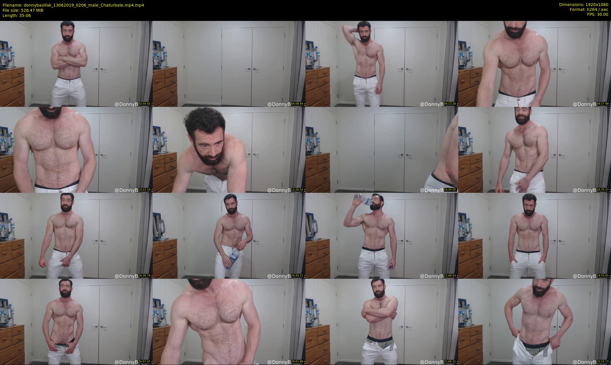 donnybasilisk — 36 minute Chaturbate male cam show recording, 1080p, Jun 13, 2019