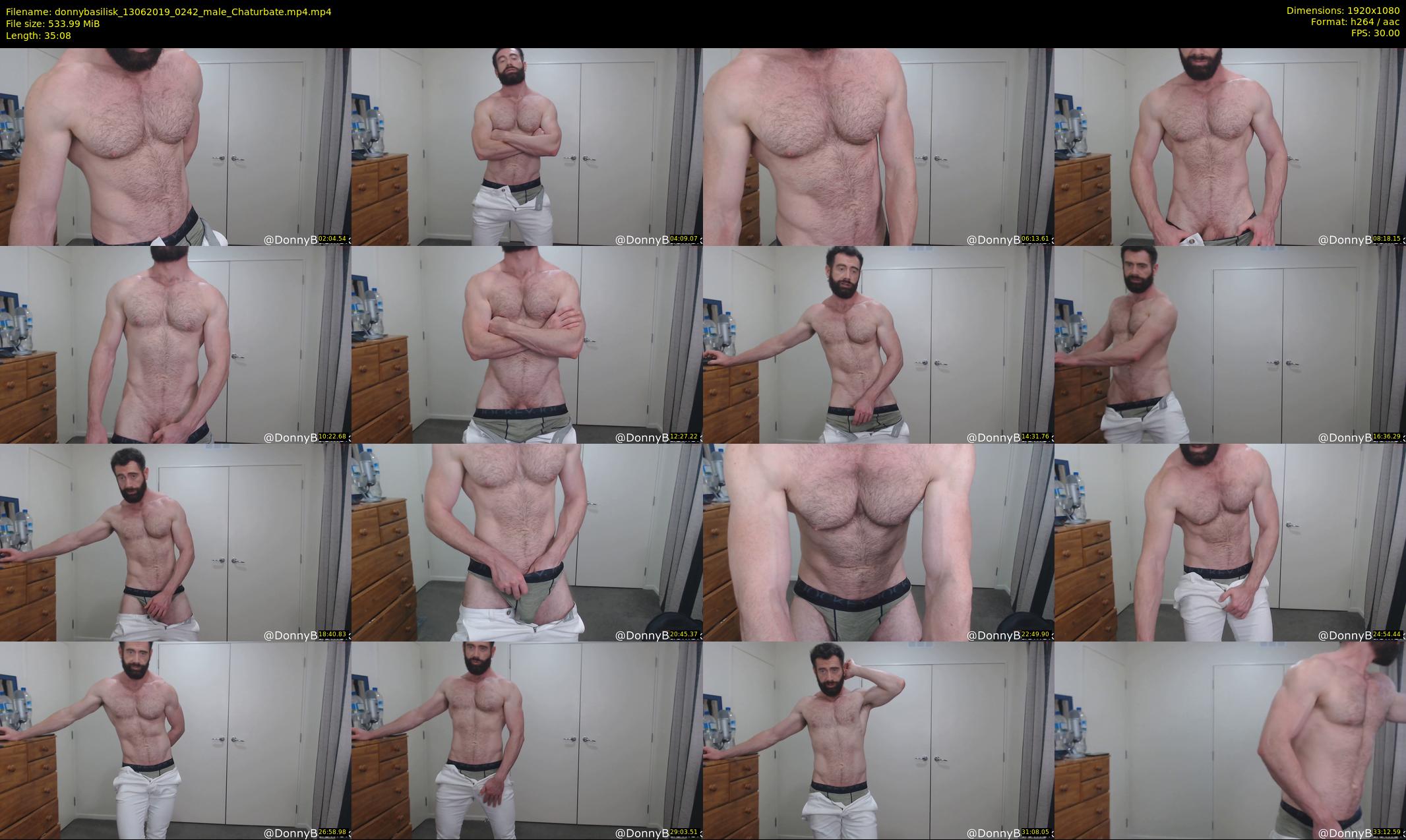 donnybasilisk — 36 minute Chaturbate male cam show recording, 1080p, Jun 13, 2019