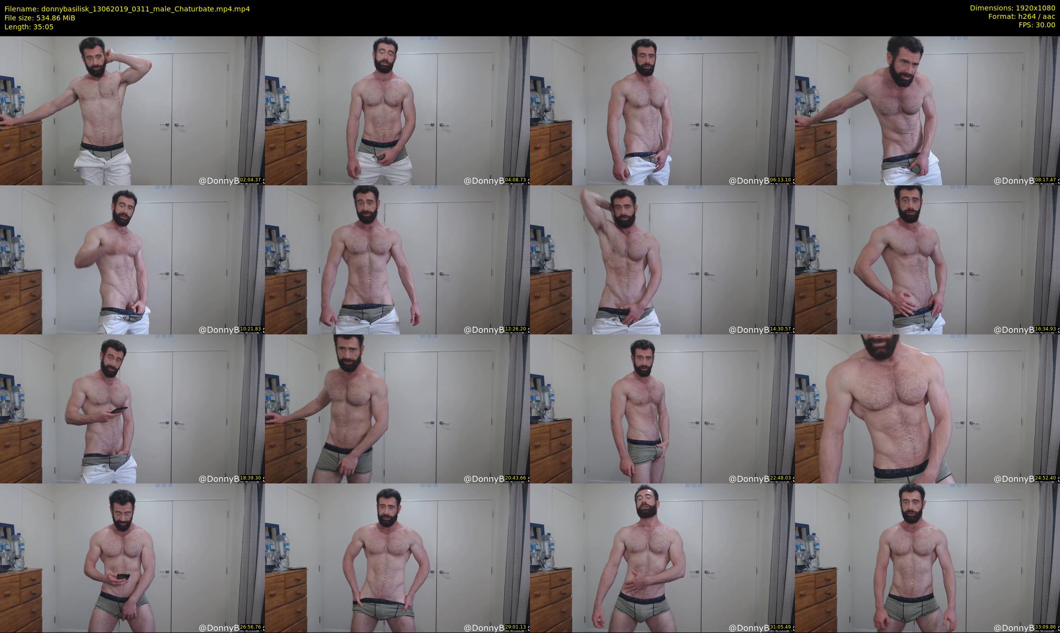 donnybasilisk — 36 minute Chaturbate male cam show recording, 1080p, Jun 13, 2019