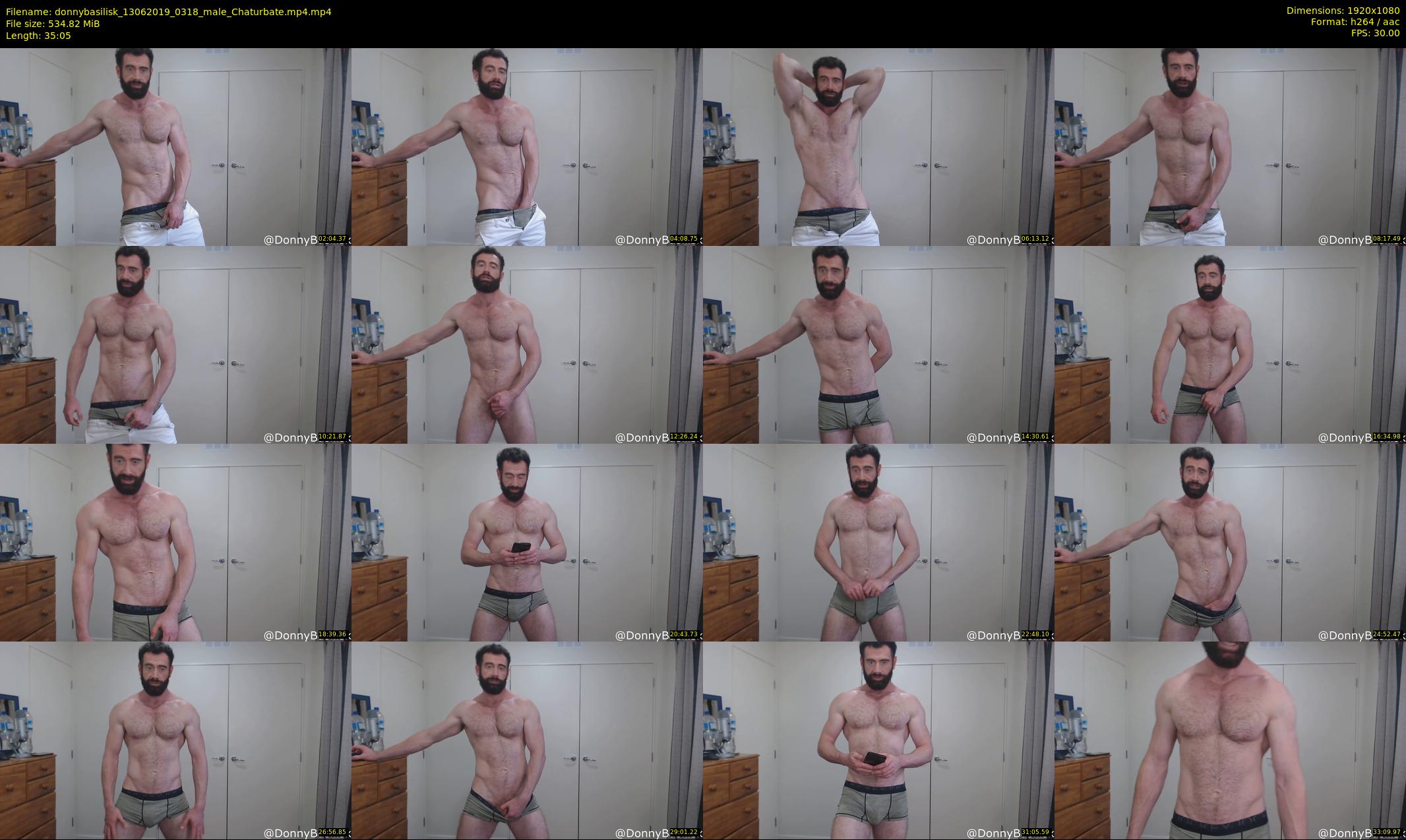 donnybasilisk — 36 minute Chaturbate male cam show recording, 1080p, Jun 13, 2019