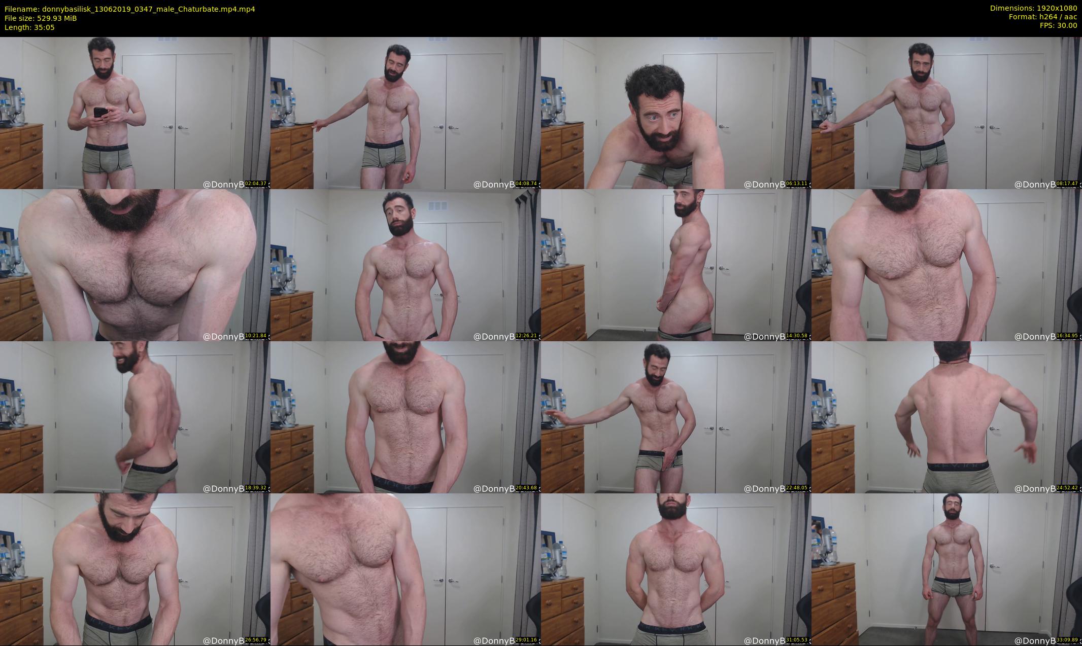 donnybasilisk — 36 minute Chaturbate male cam show recording, 1080p, Jun 13, 2019