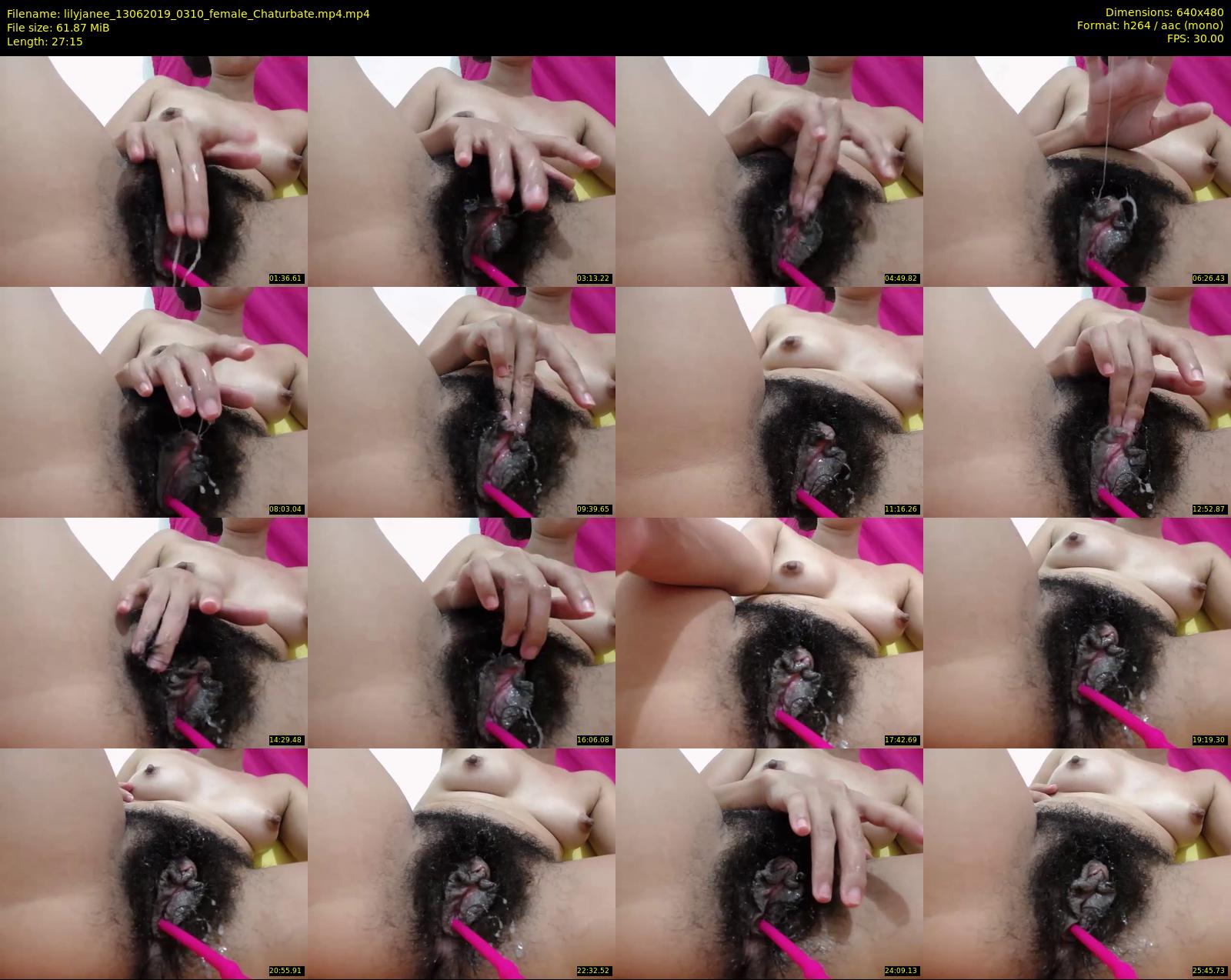 lilyjanee — 28 minute Chaturbate female cam show recording, 480p, Jun 13, 2019