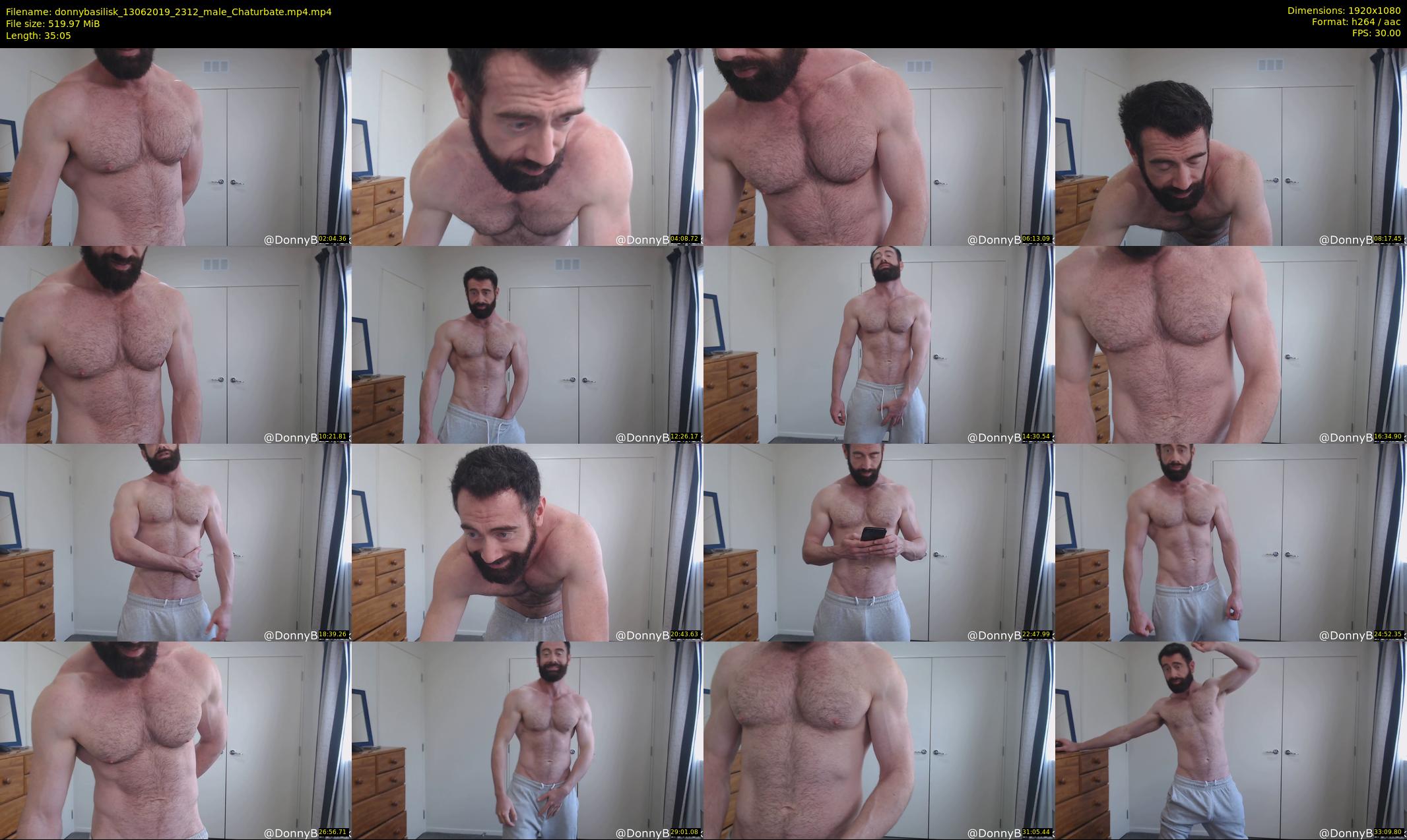 donnybasilisk — 36 minute Chaturbate male cam show recording, 1080p, Jun 13, 2019