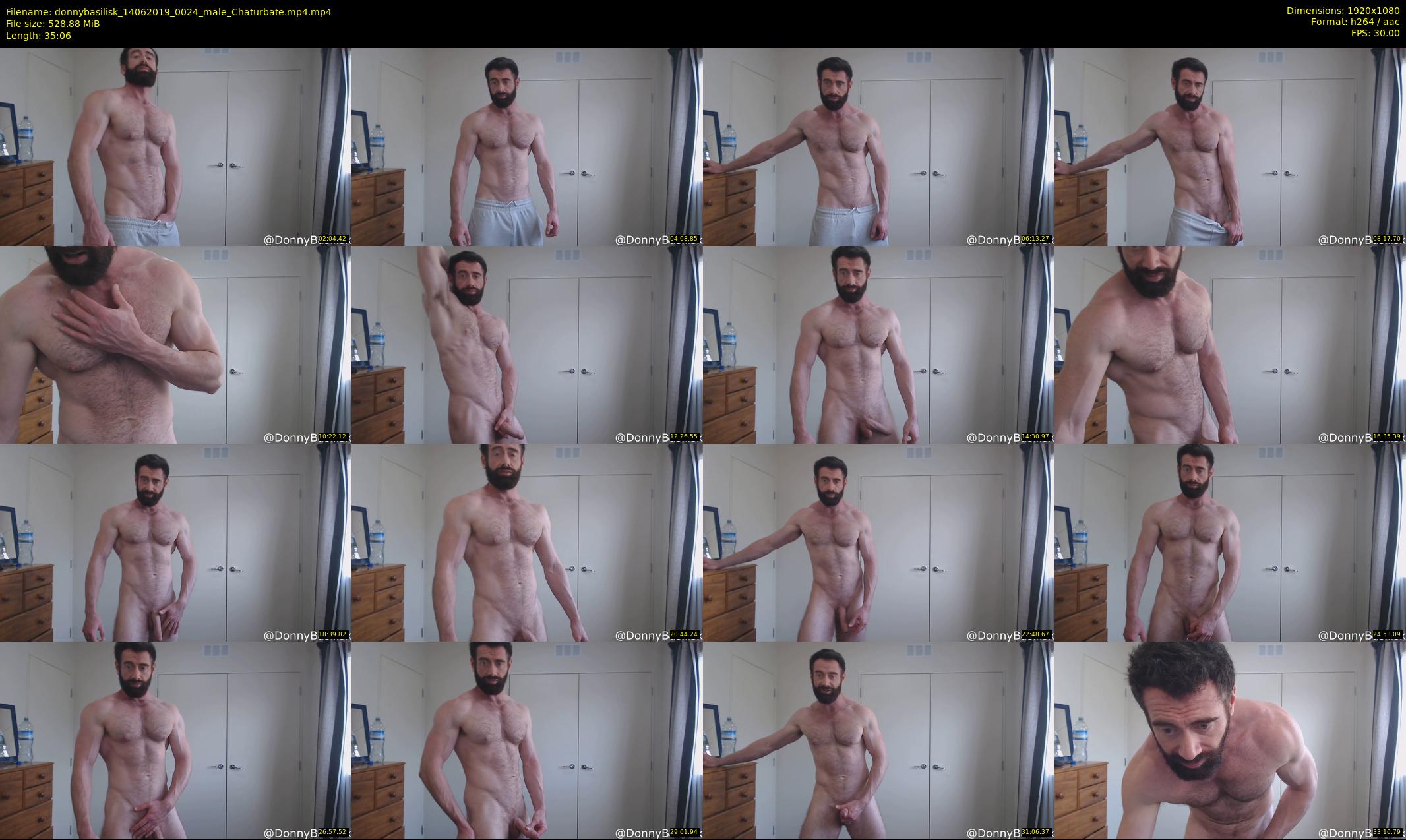 donnybasilisk — 36 minute Chaturbate male cam show recording, 1080p, Jun 14, 2019