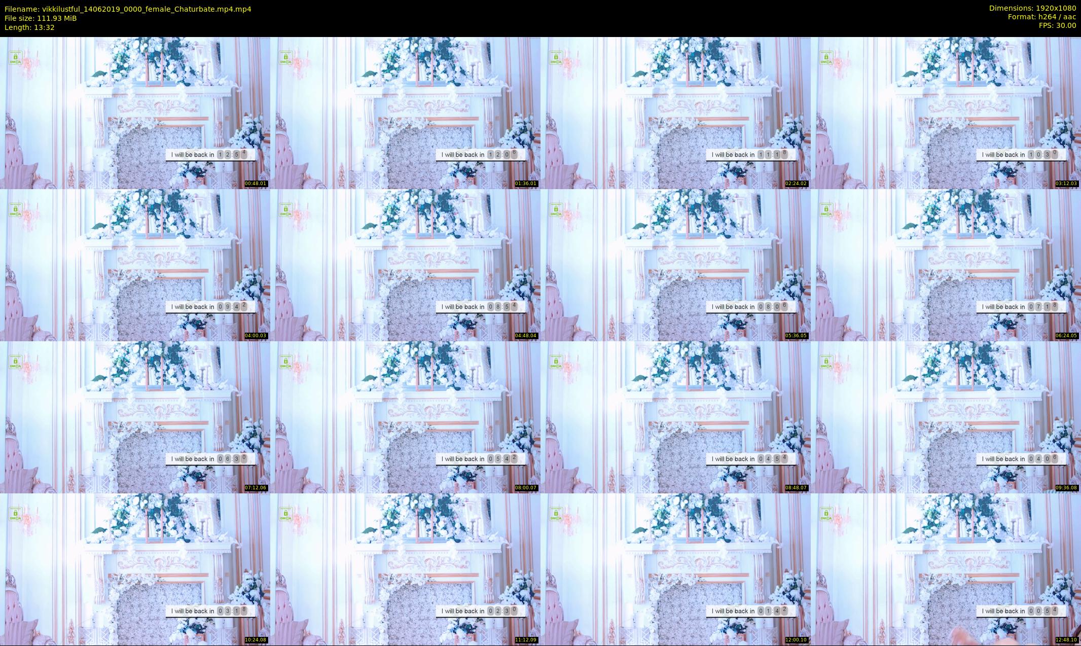 vikkilustful — 14 minute Chaturbate female cam show recording, 1080p, Jun 14, 2019